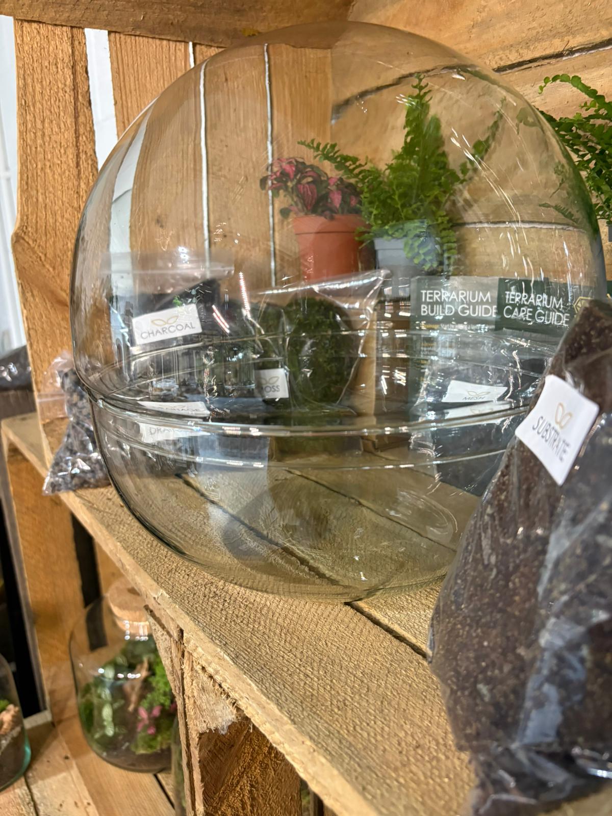 DIY Terrarium Kit - 'Kevin'