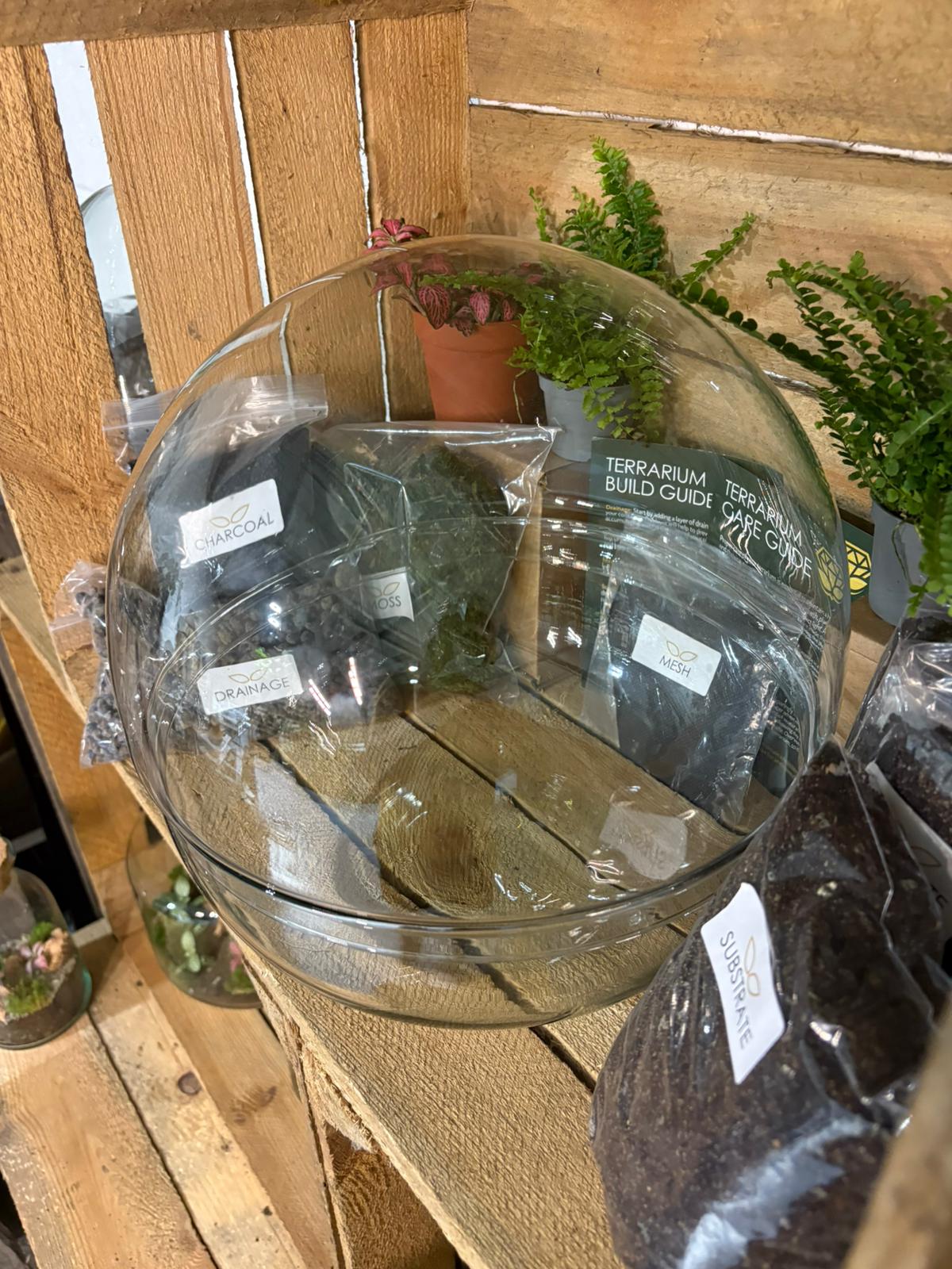 DIY Terrarium Kit - 'Kevin'