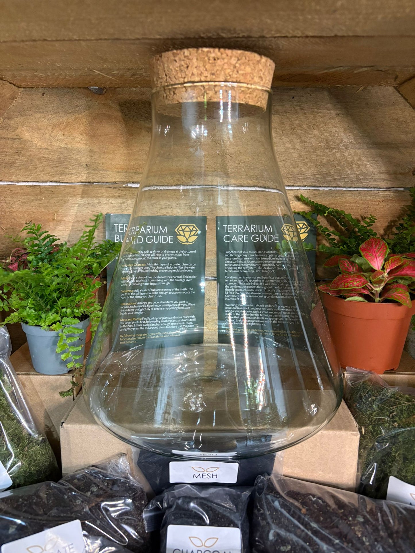 DIY Terrarium Kit - 'Verity'