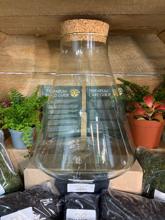 DIY Terrarium Kit - 'Verity'