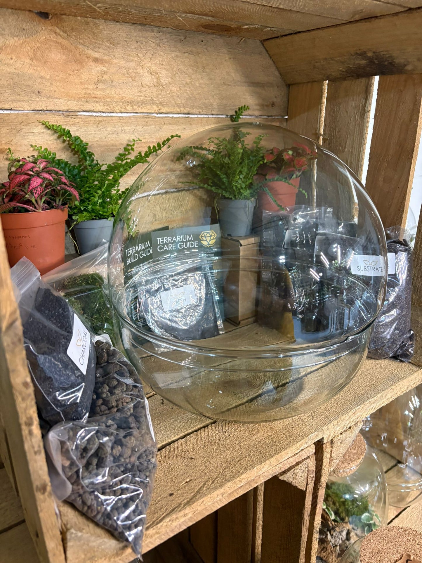 DIY Terrarium Kit - 'Kevin'