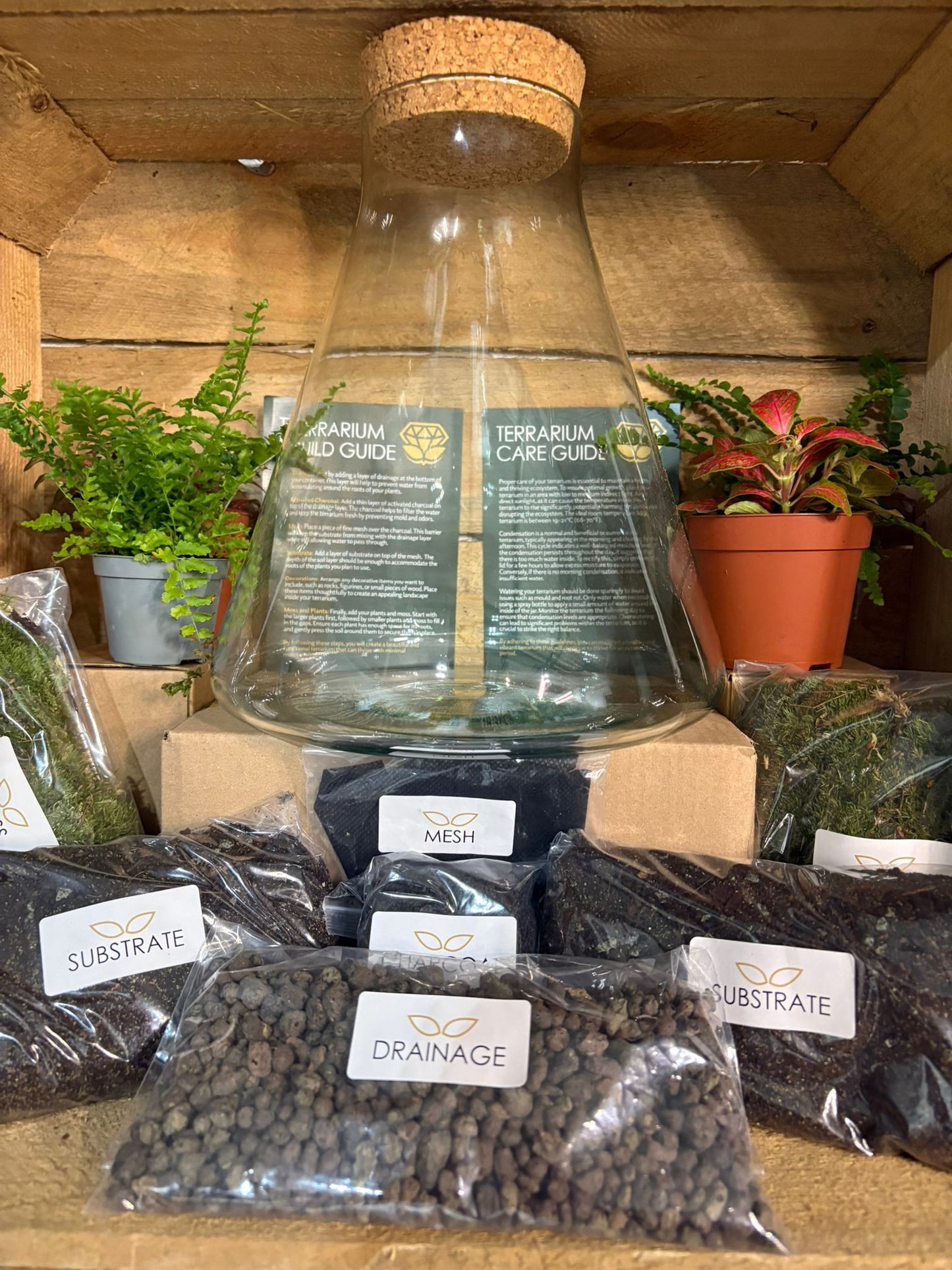 DIY Terrarium Kit - 'Verity'