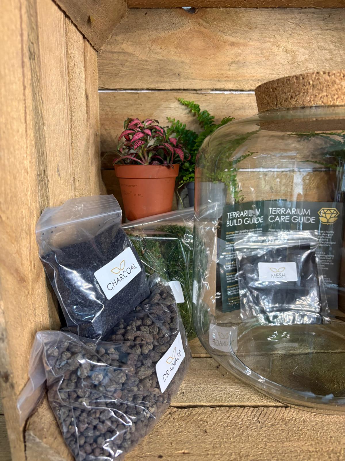 DIY Terrarium Kit - 'Meg'