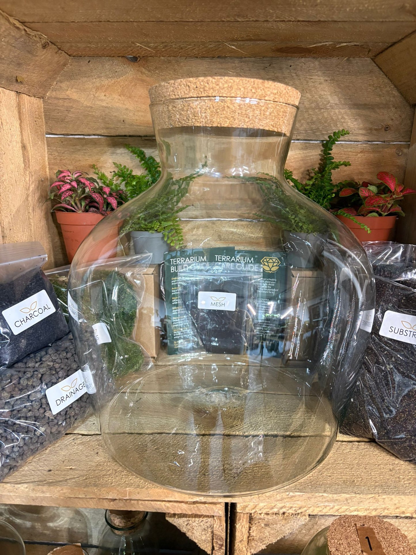DIY Terrarium Kit - 'Matthew'