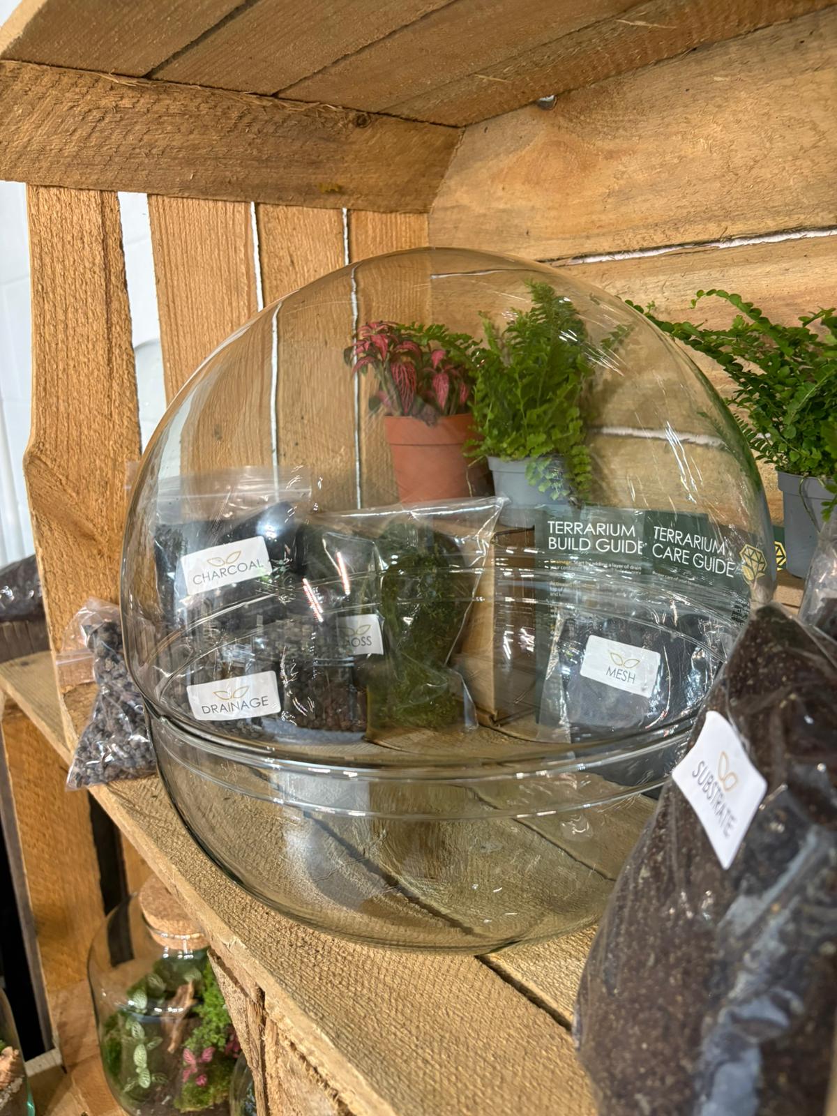 DIY Terrarium Kit - 'Kevin'