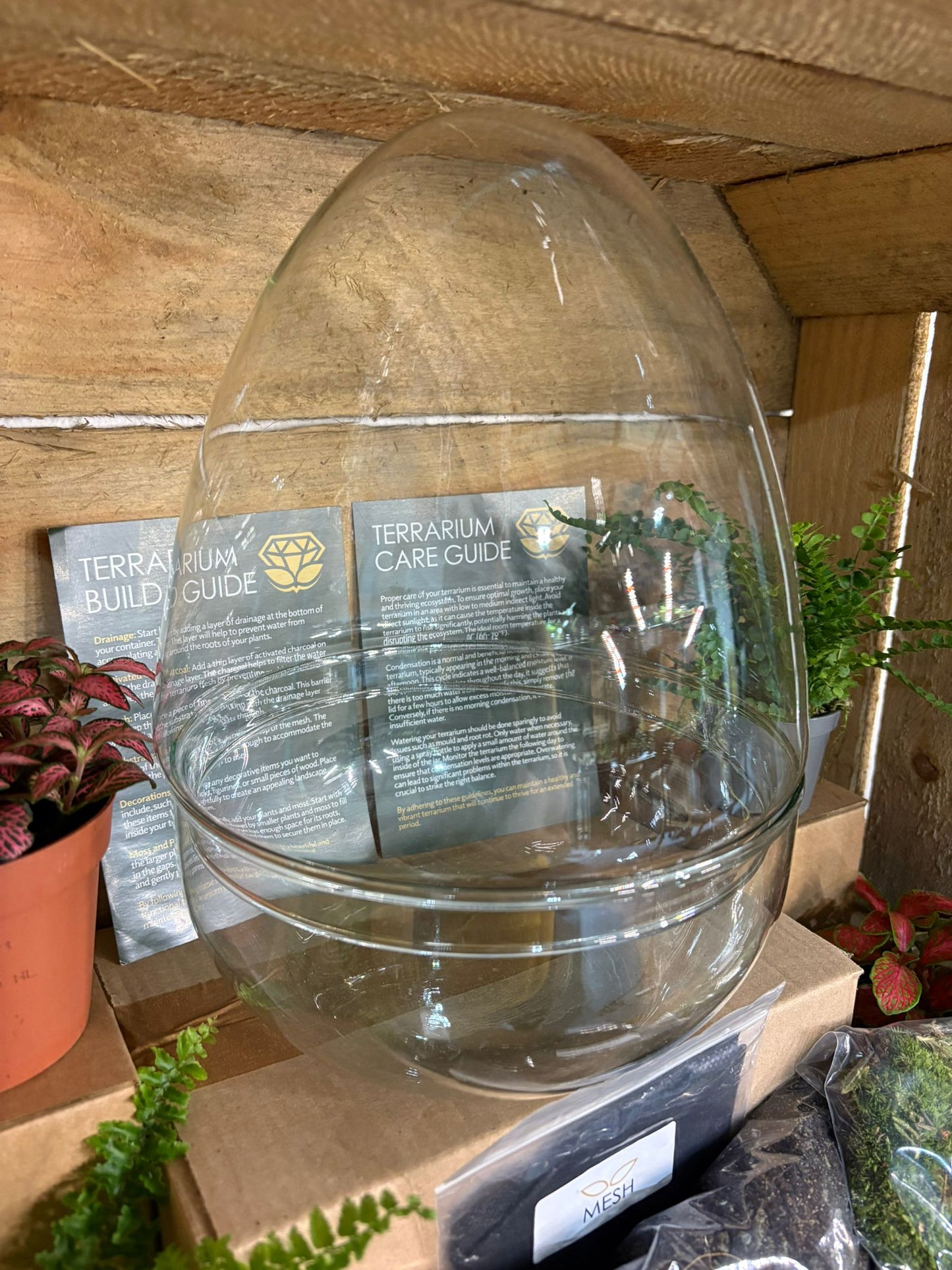 DIY Terrarium Kit - 'Edmond'