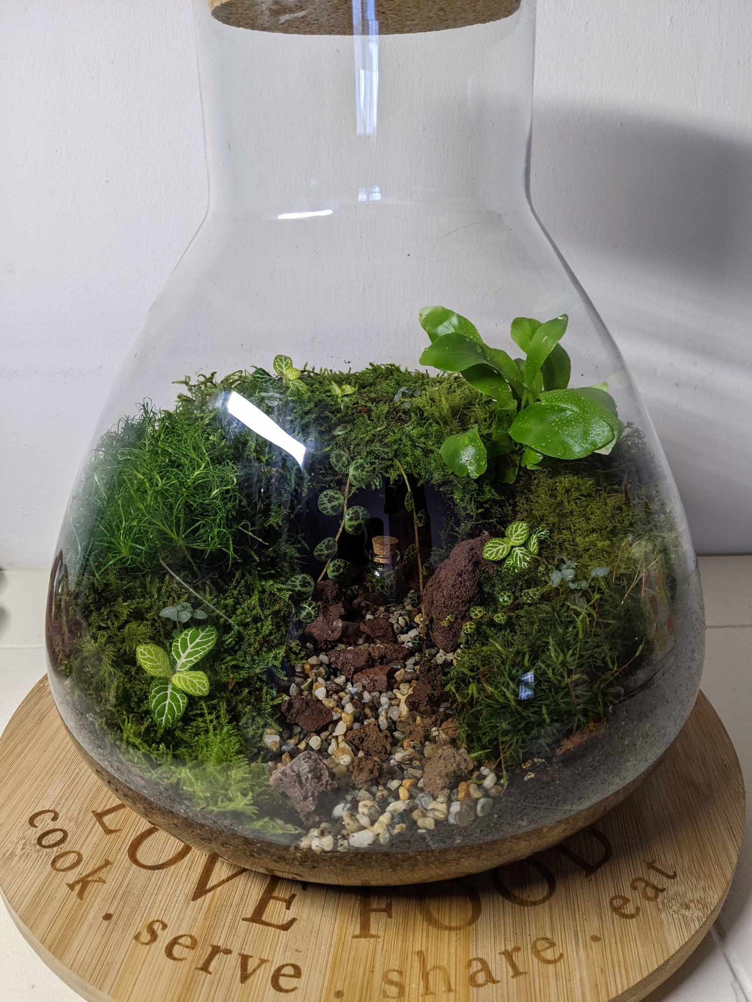 Ready-made Terrariums