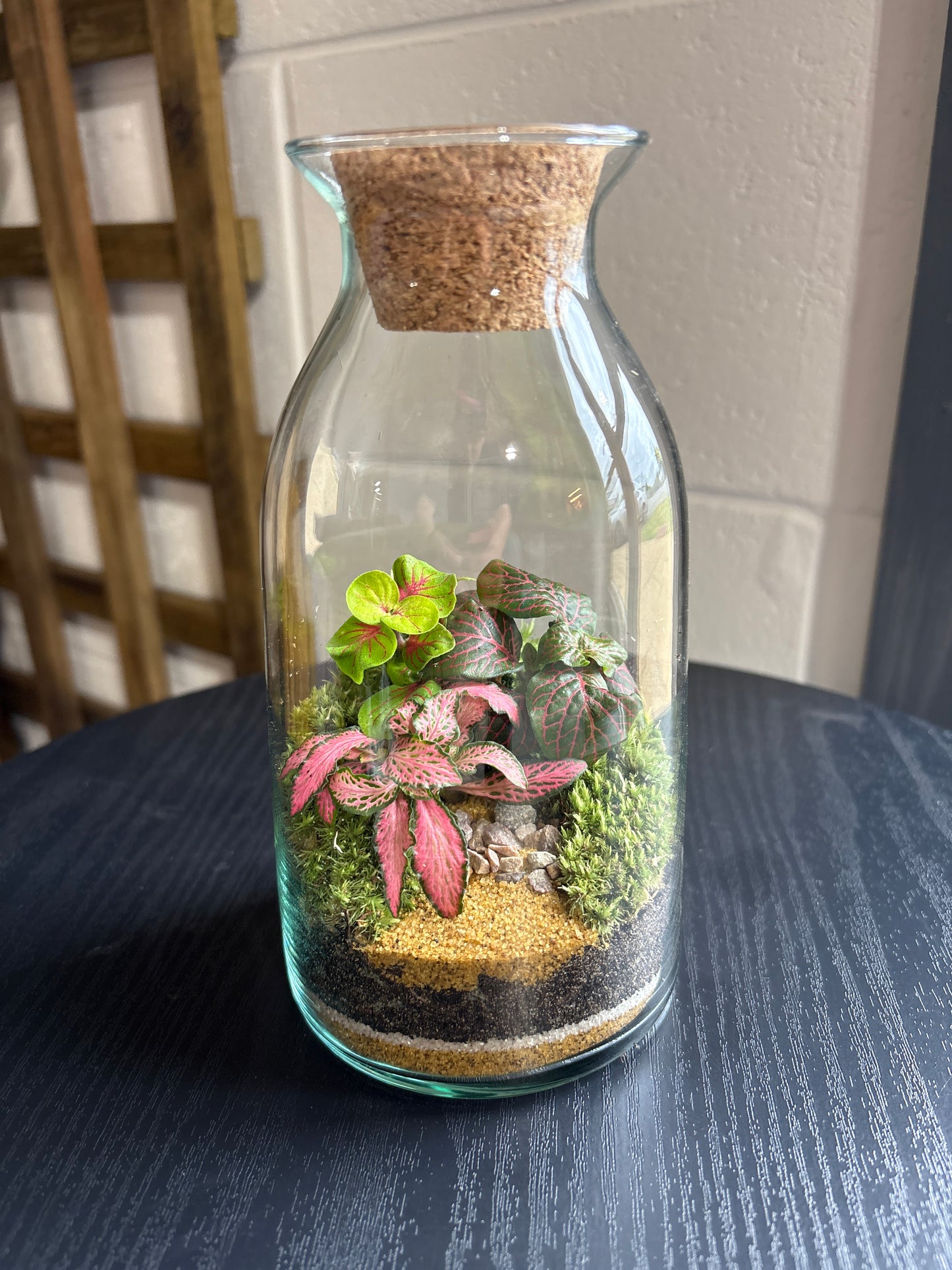 Ready-made Terrarium – Chloe Jar