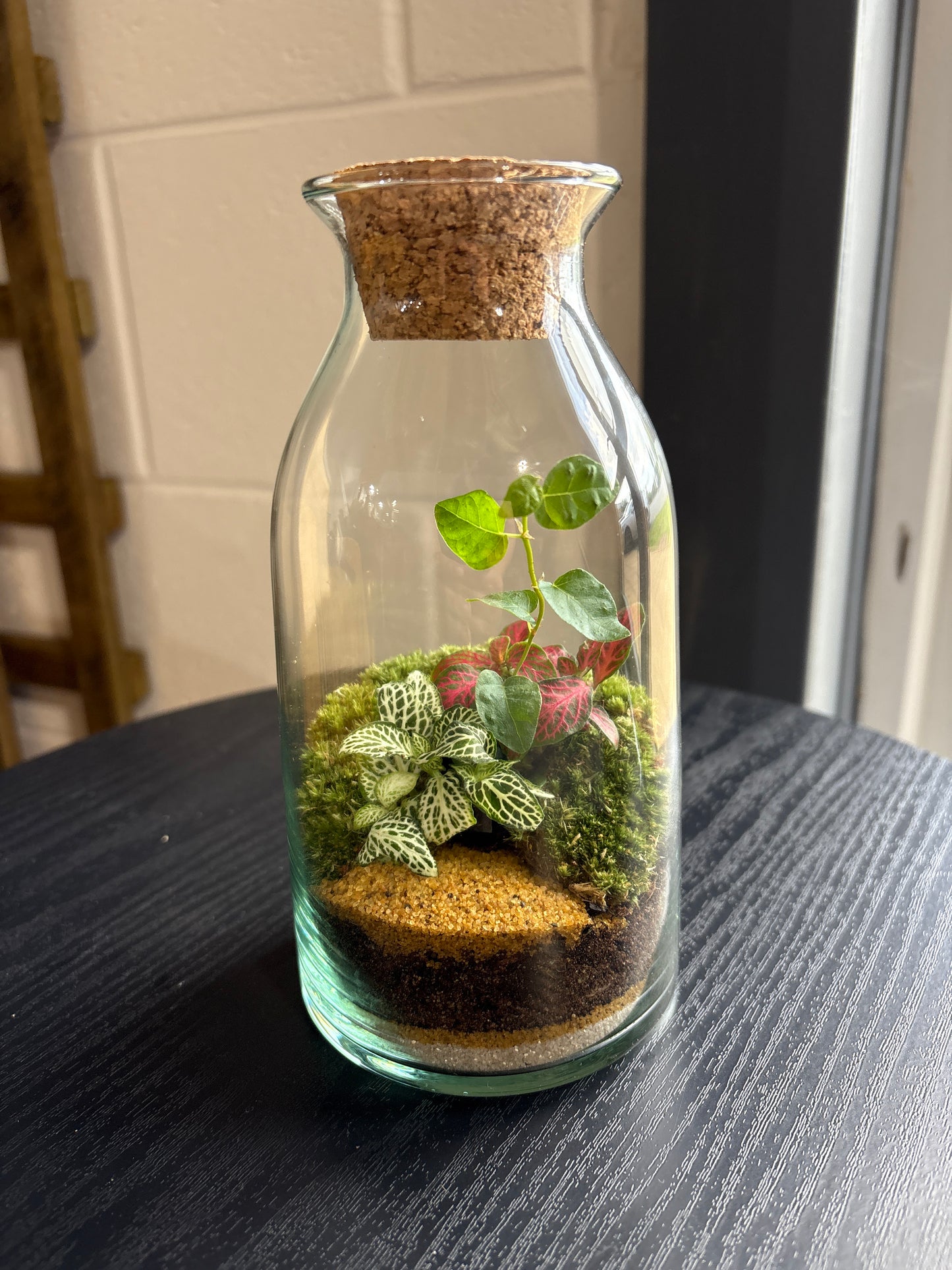 Ready-made Terrarium – Chloe Jar