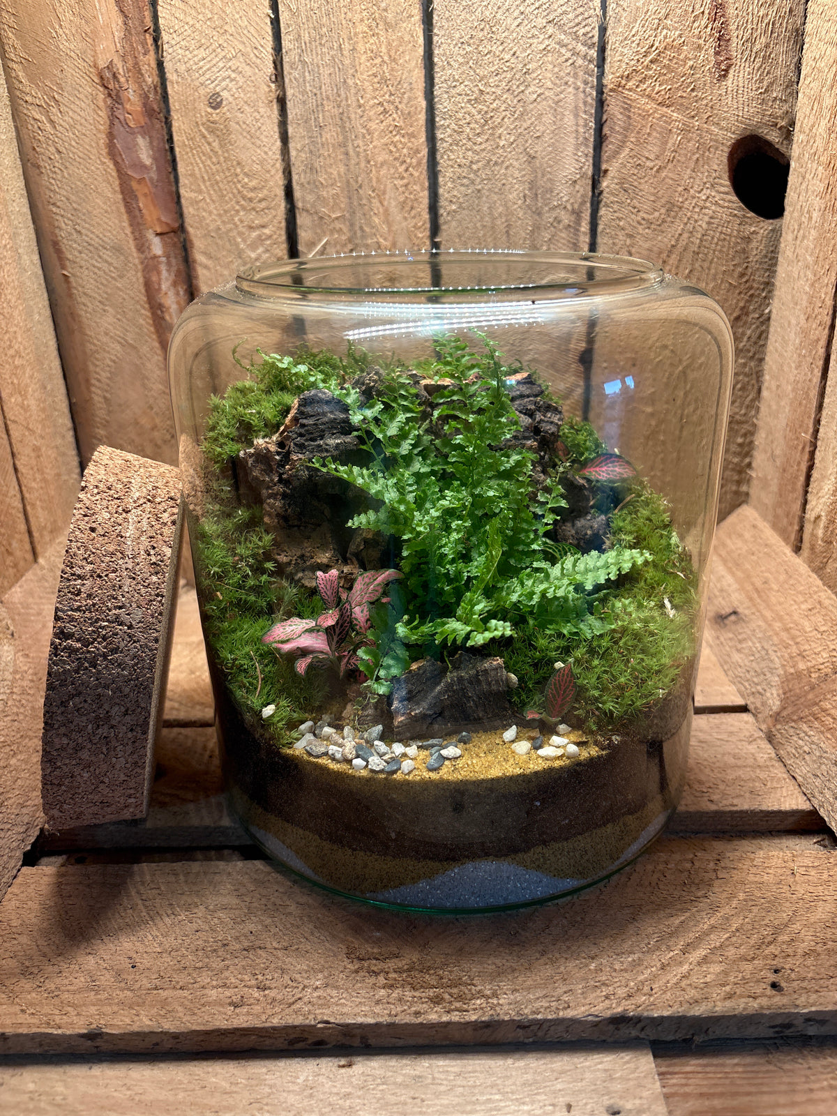 Ready-made Terrarium – Katie