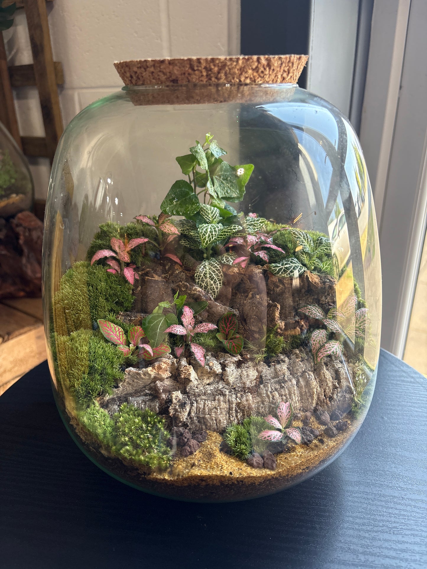 Ready-made Terrarium – Unique Jar