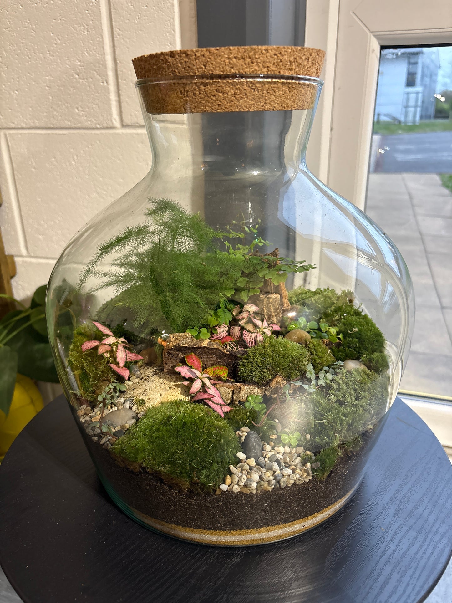 Ready-made Terrarium – Matthew Jar