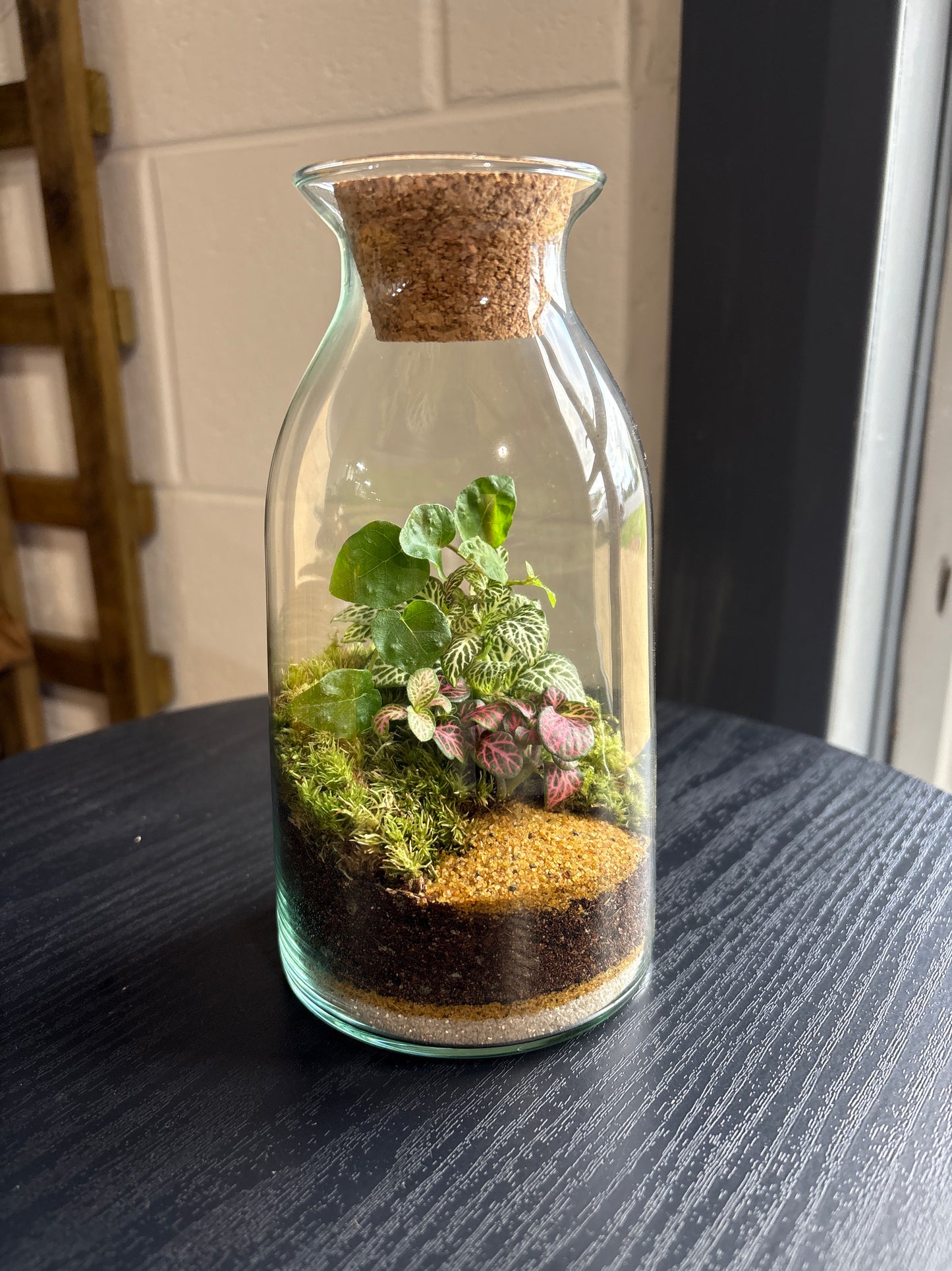Ready-made Terrarium – Chloe Jar