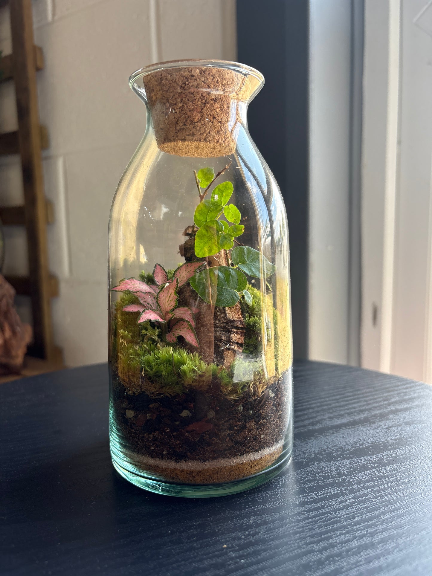 Ready-made Terrarium – Chloe Jar