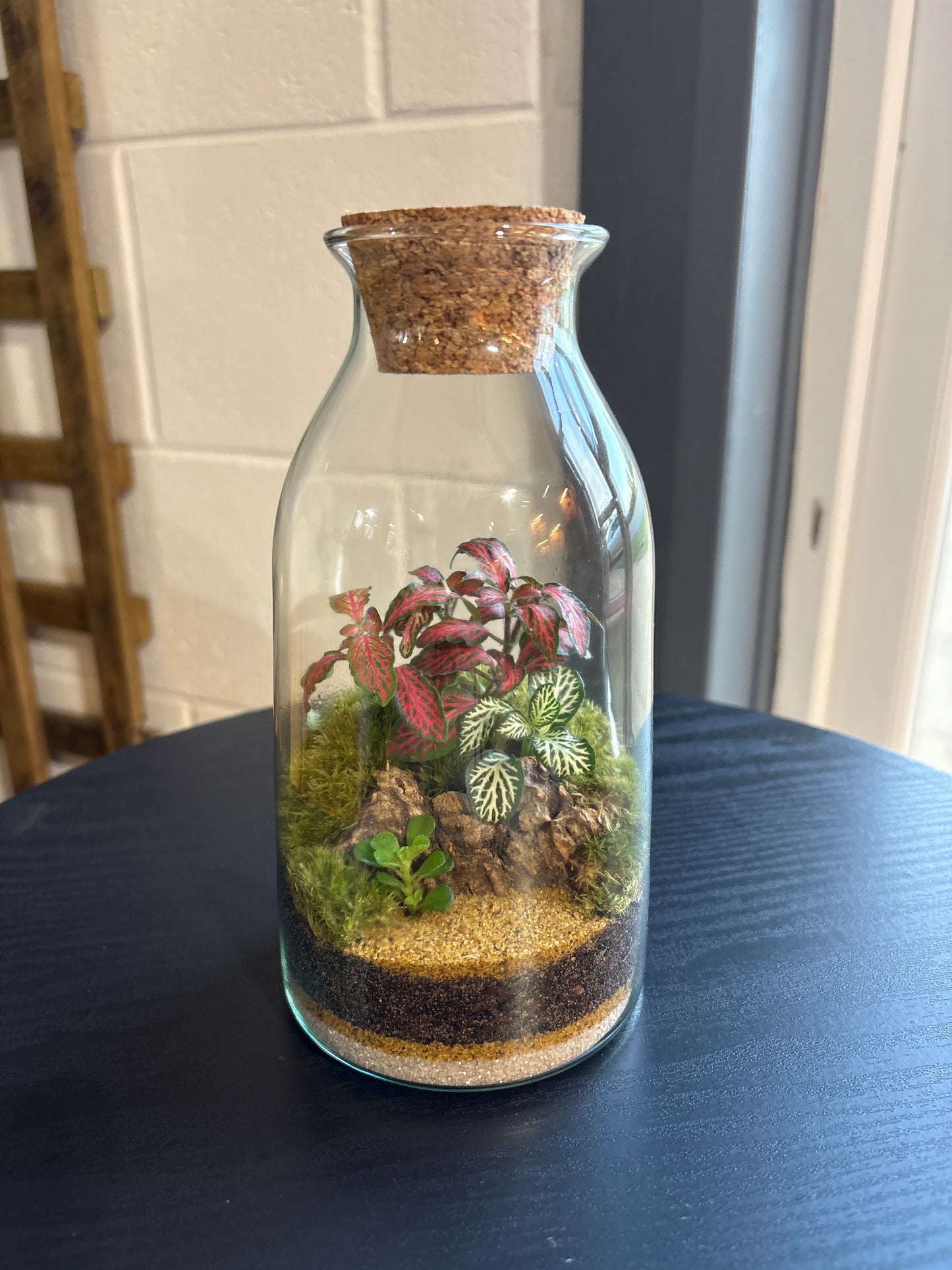Ready-made Terrarium – Chloe Jar
