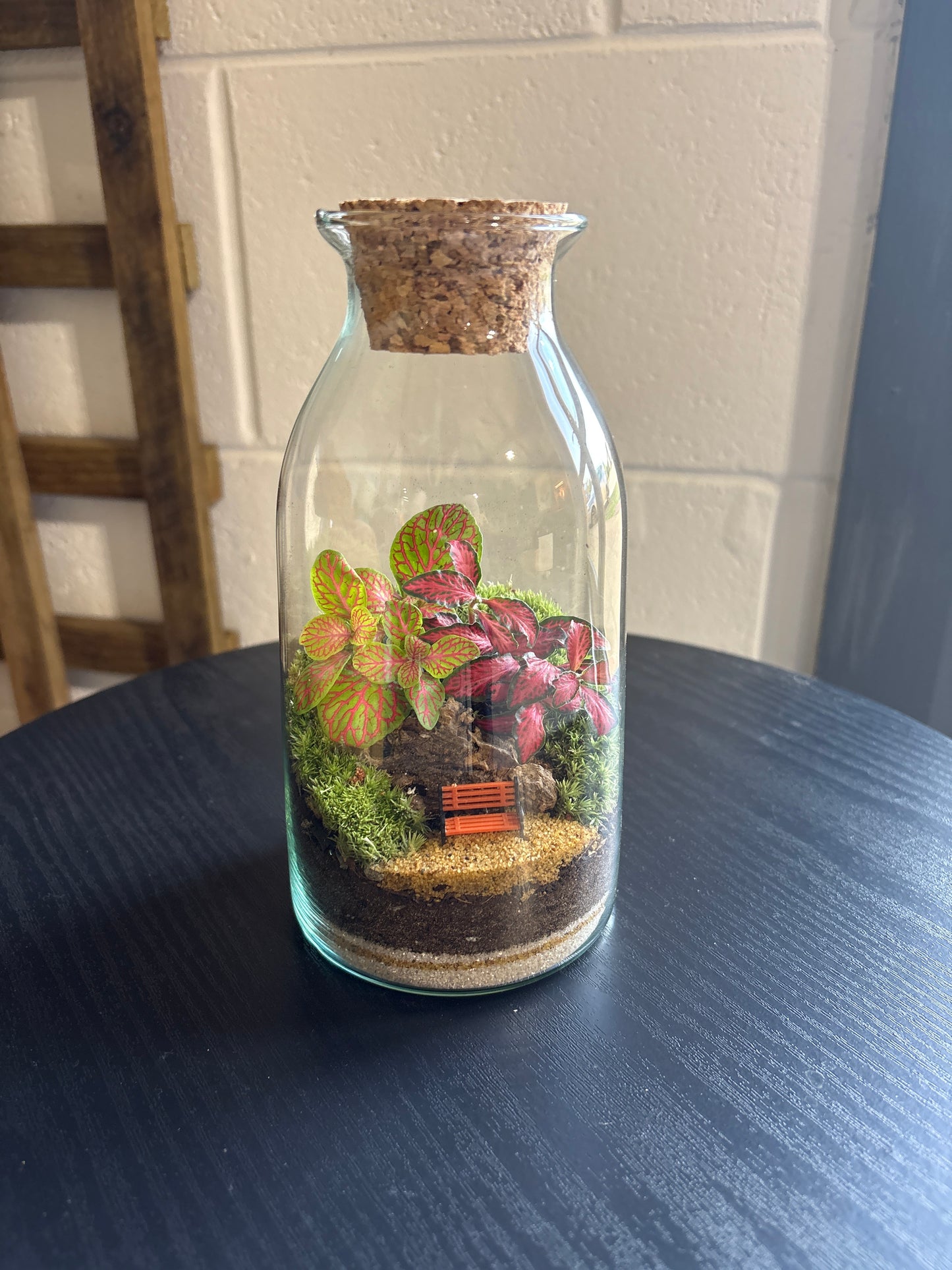 Ready-made Terrarium – Chloe Jar