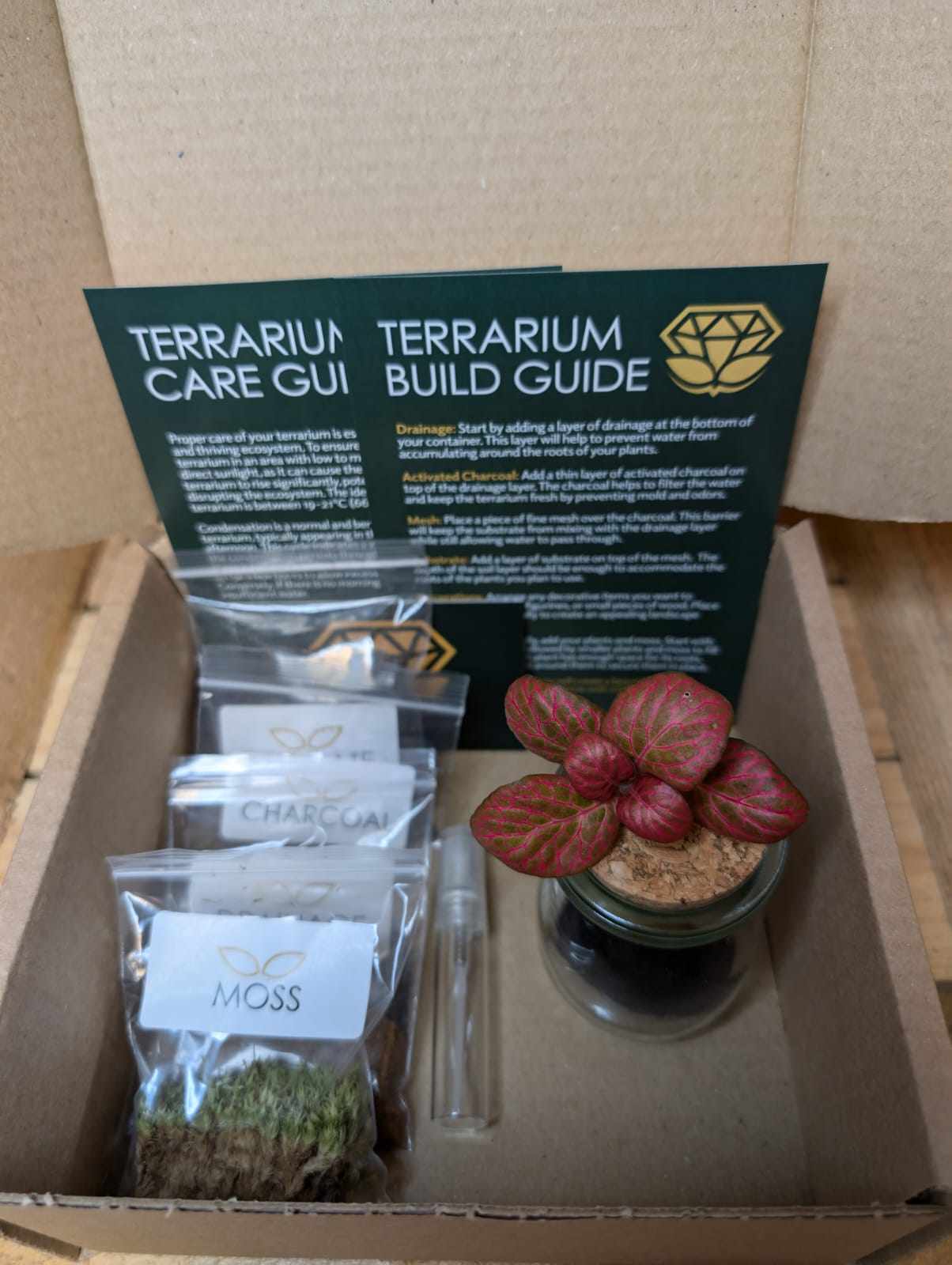 DIY Terrarium Kit - Mini Jar