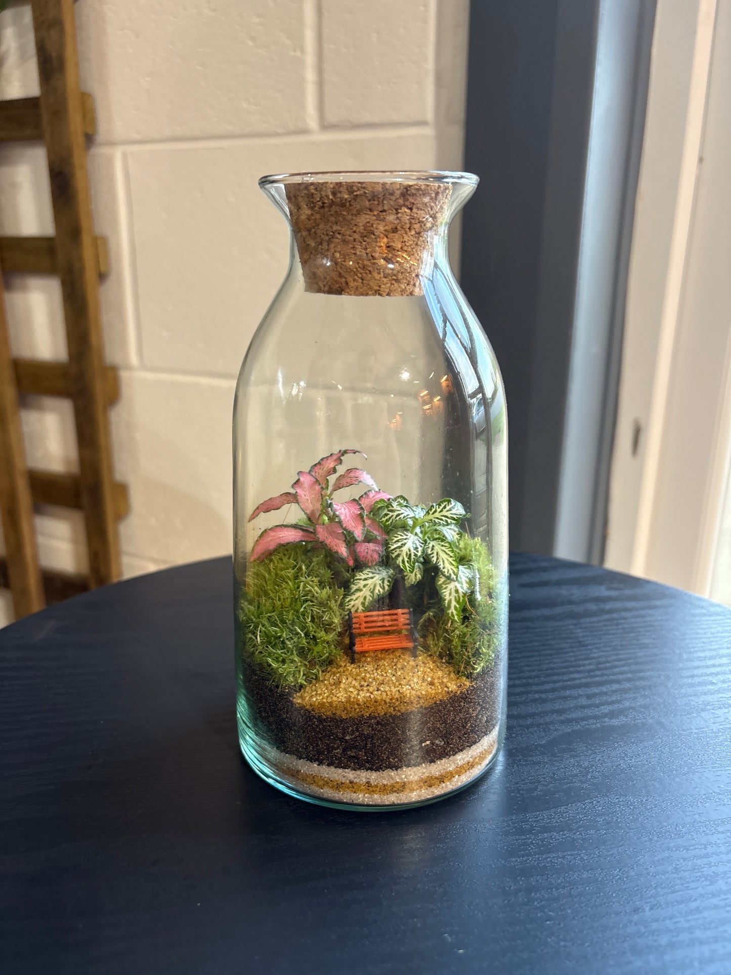 Ready-made Terrarium – Chloe Jar