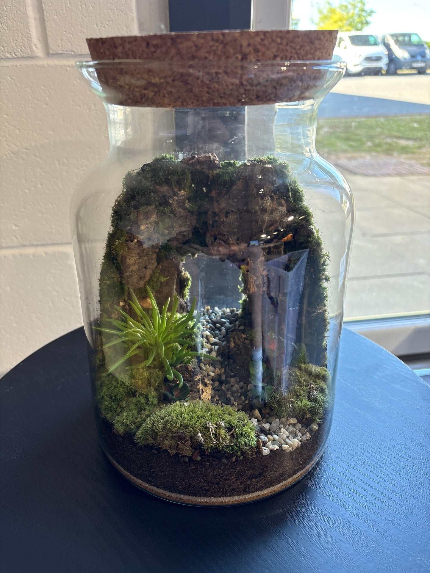 Ready-made Terrarium – Unique Jar