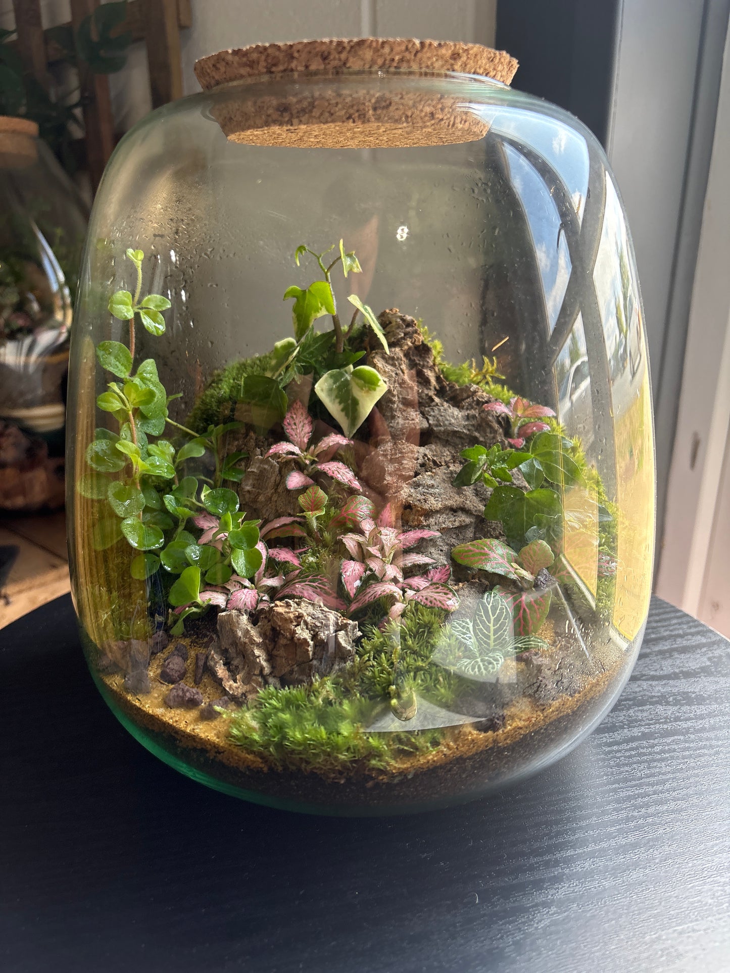 Ready-made Terrarium – Neev Jar