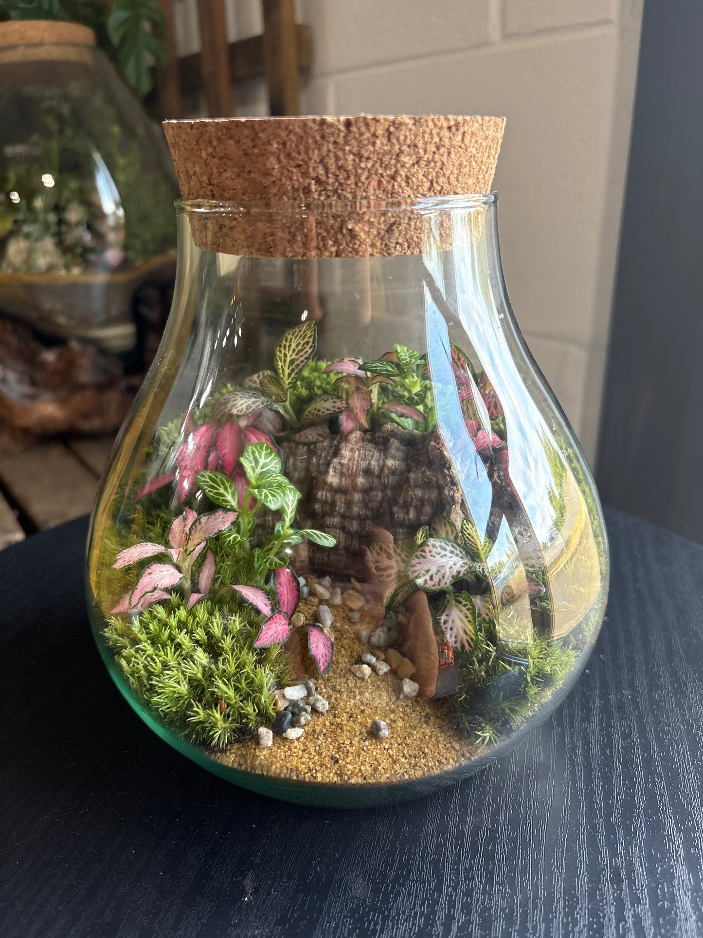 Ready-made Terrarium – Fran Jar