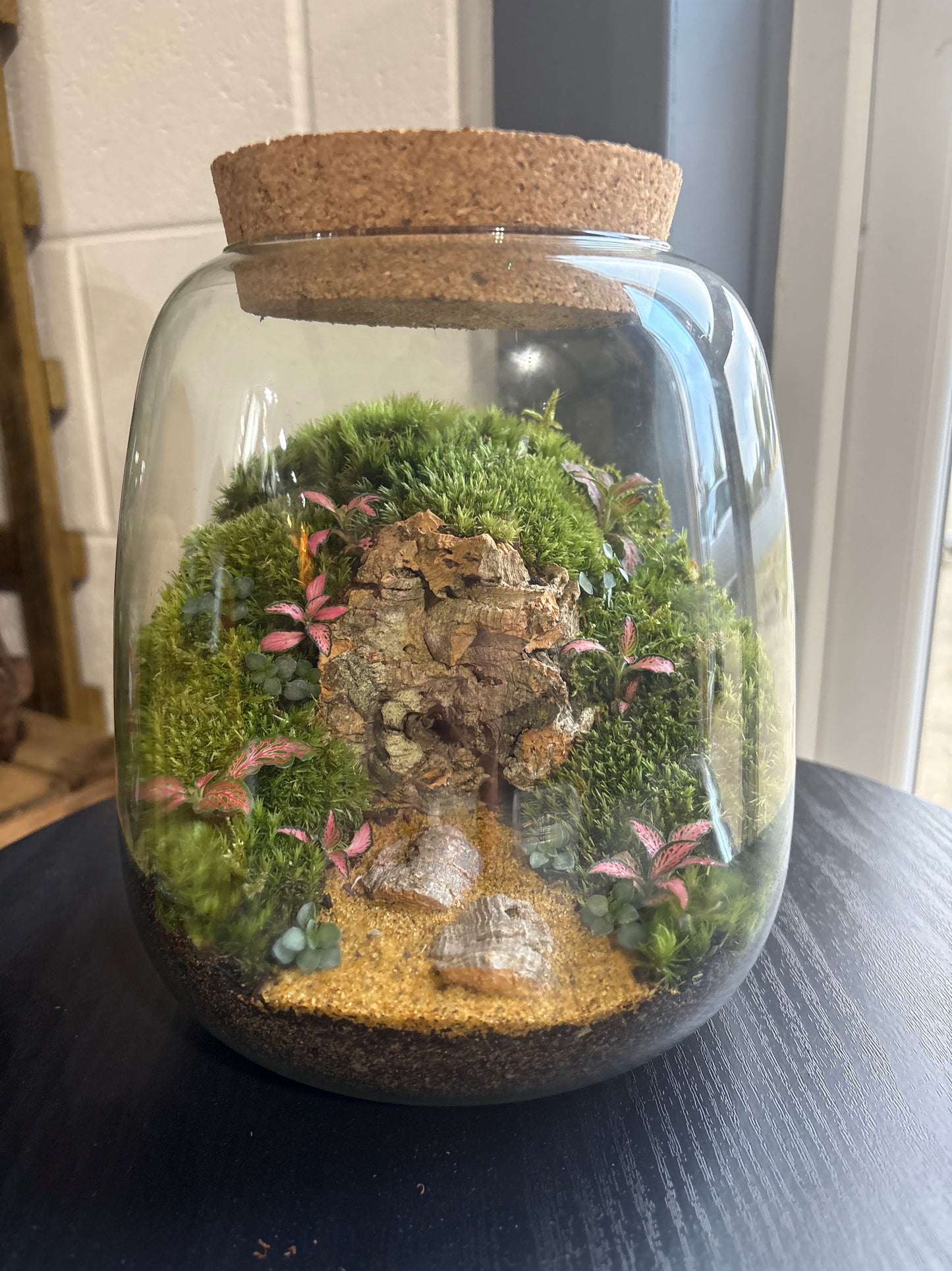 Ready-made Terrarium – Anna Jar