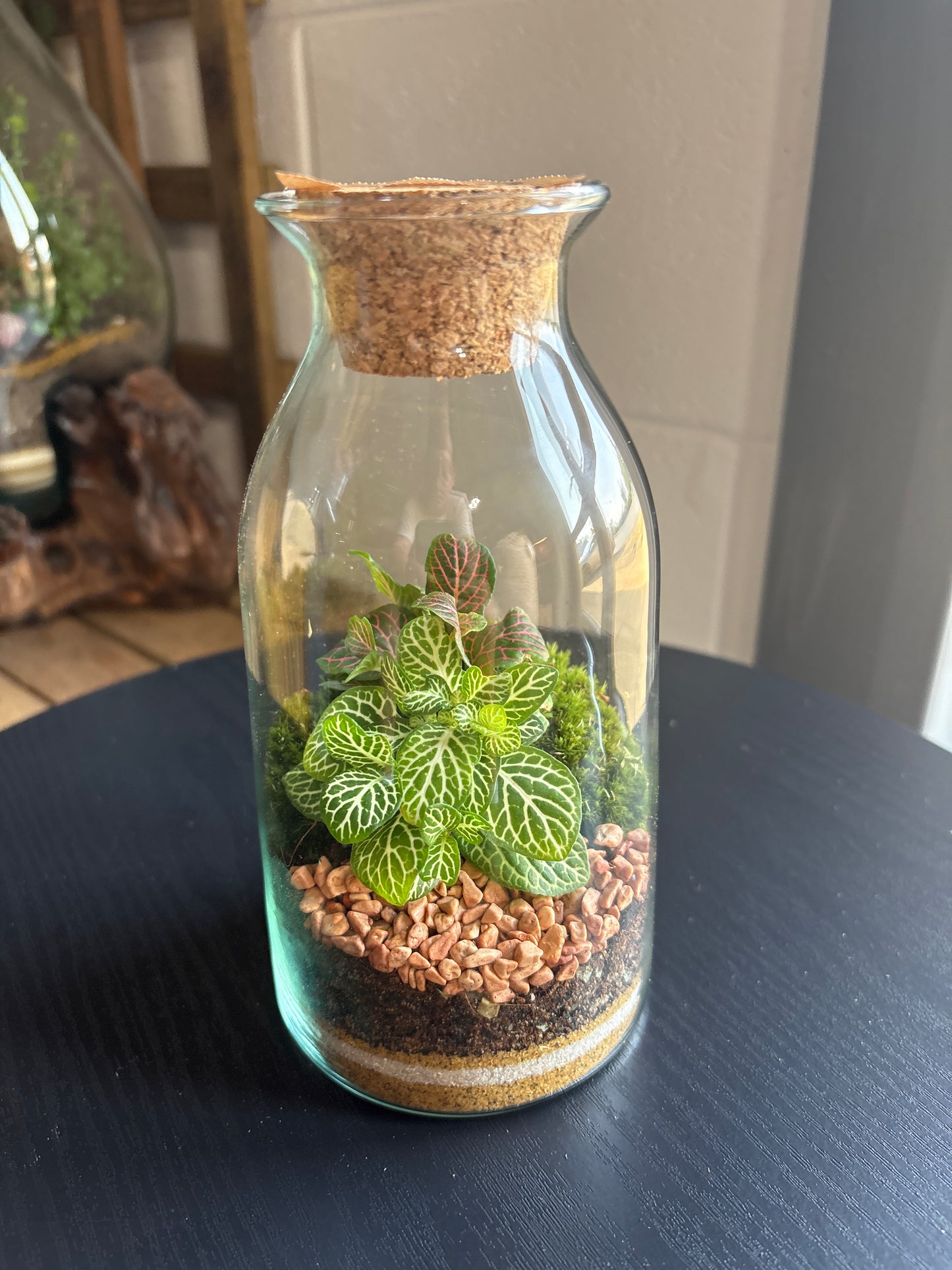 Ready-made Terrarium – Chloe Jar