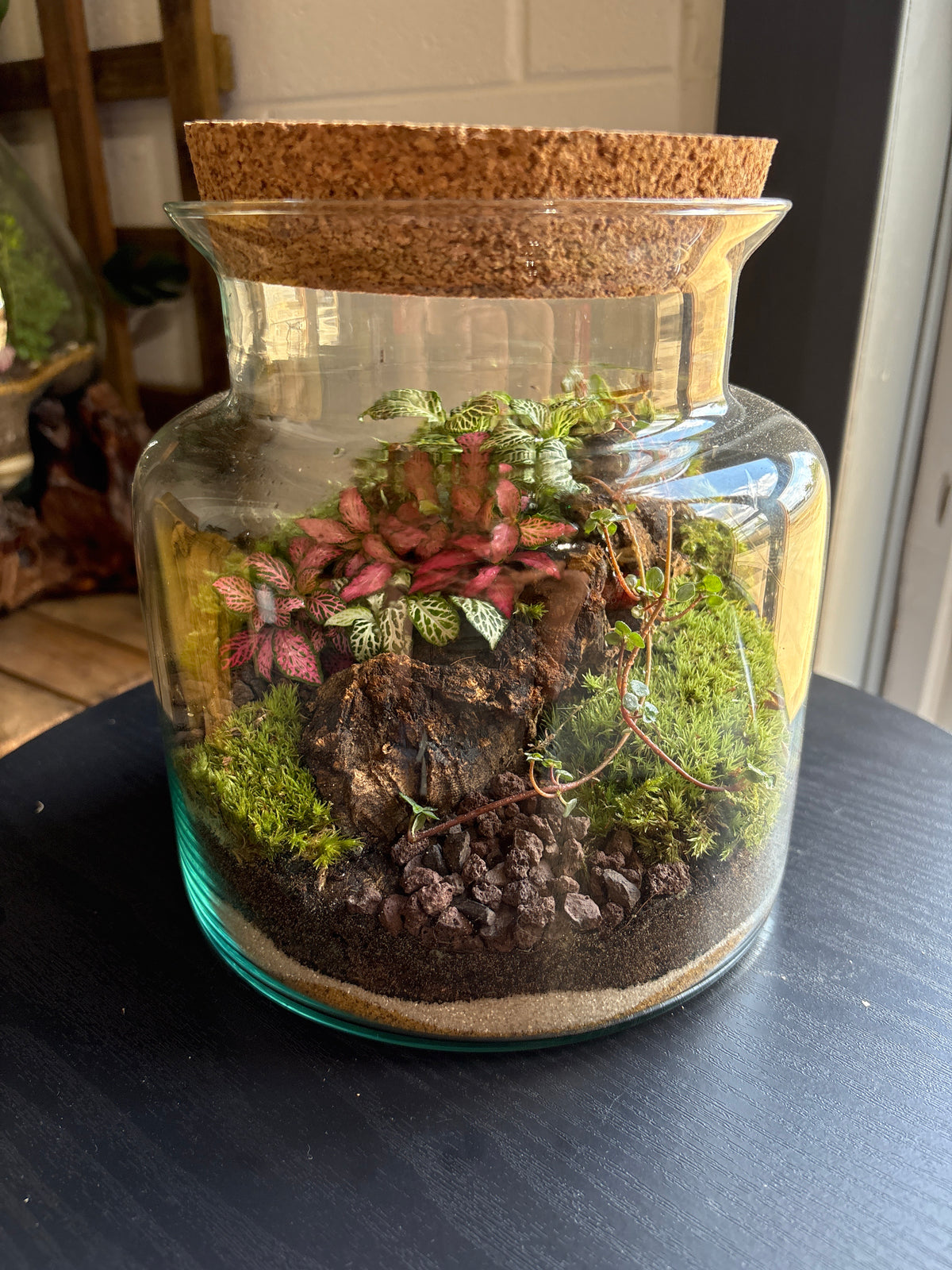 Ready-made Terrarium – Paige