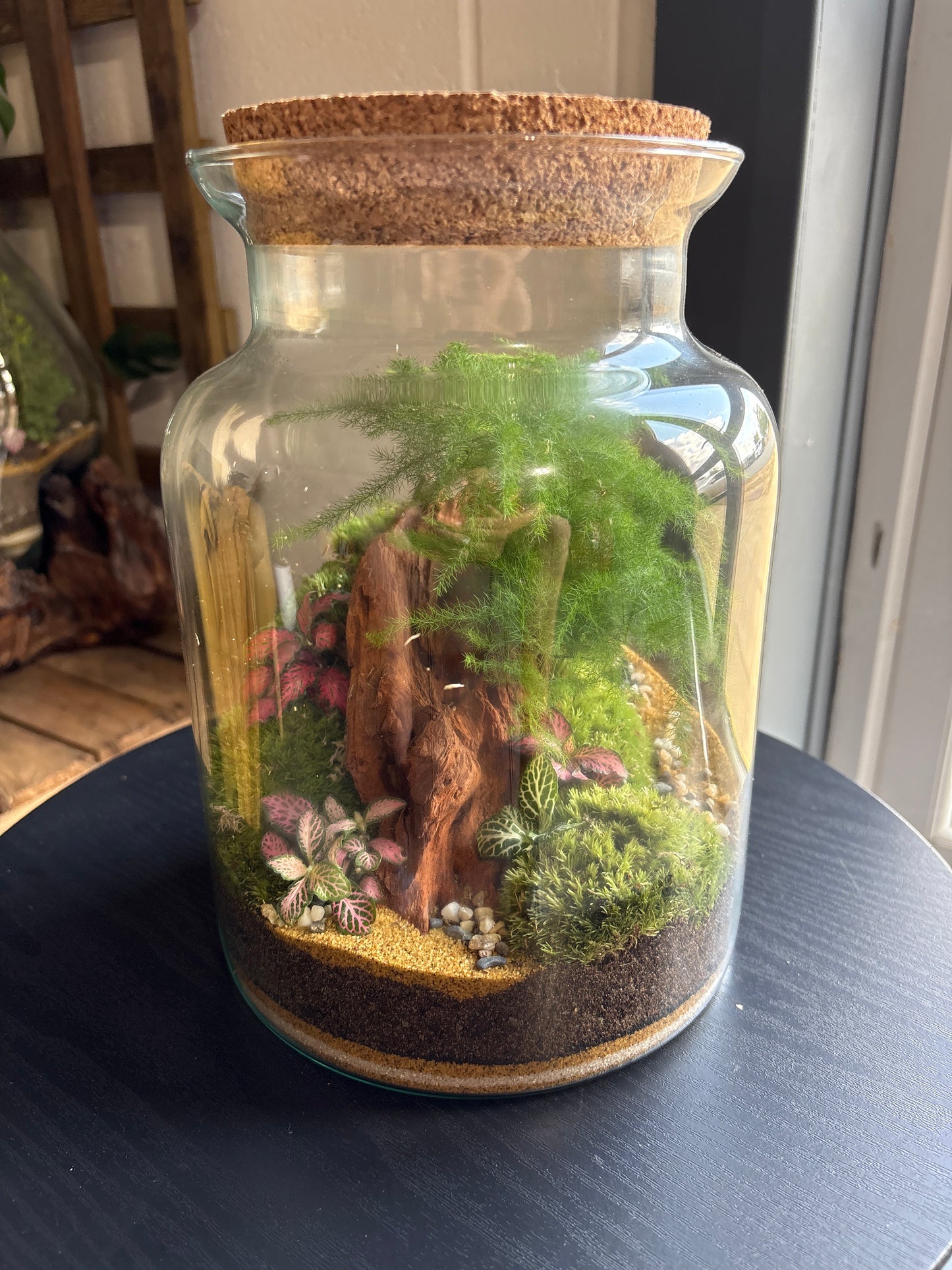 Ready-made Terrarium – Neev Jar