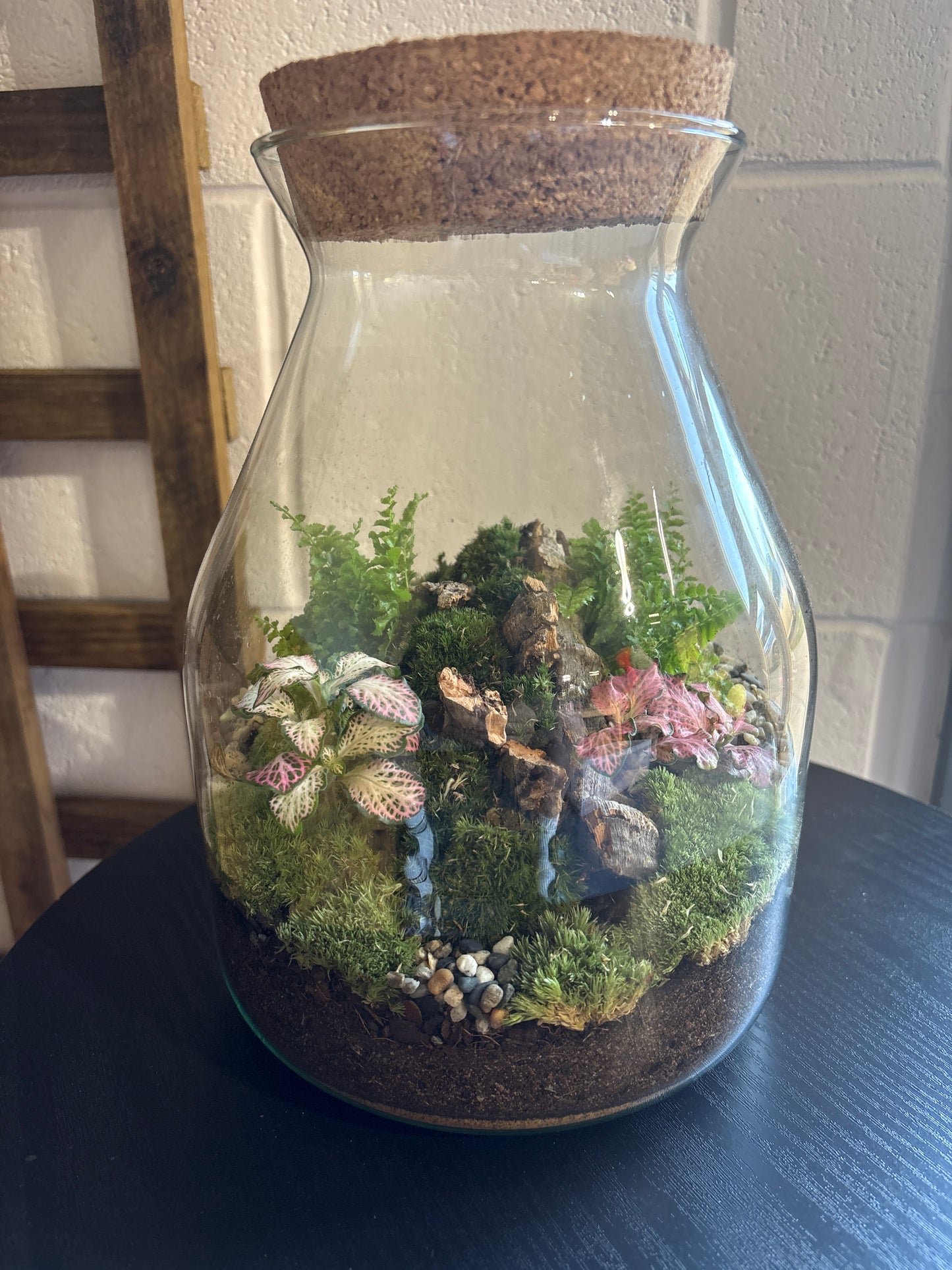 Ready-made Terrarium – Jamie Jar