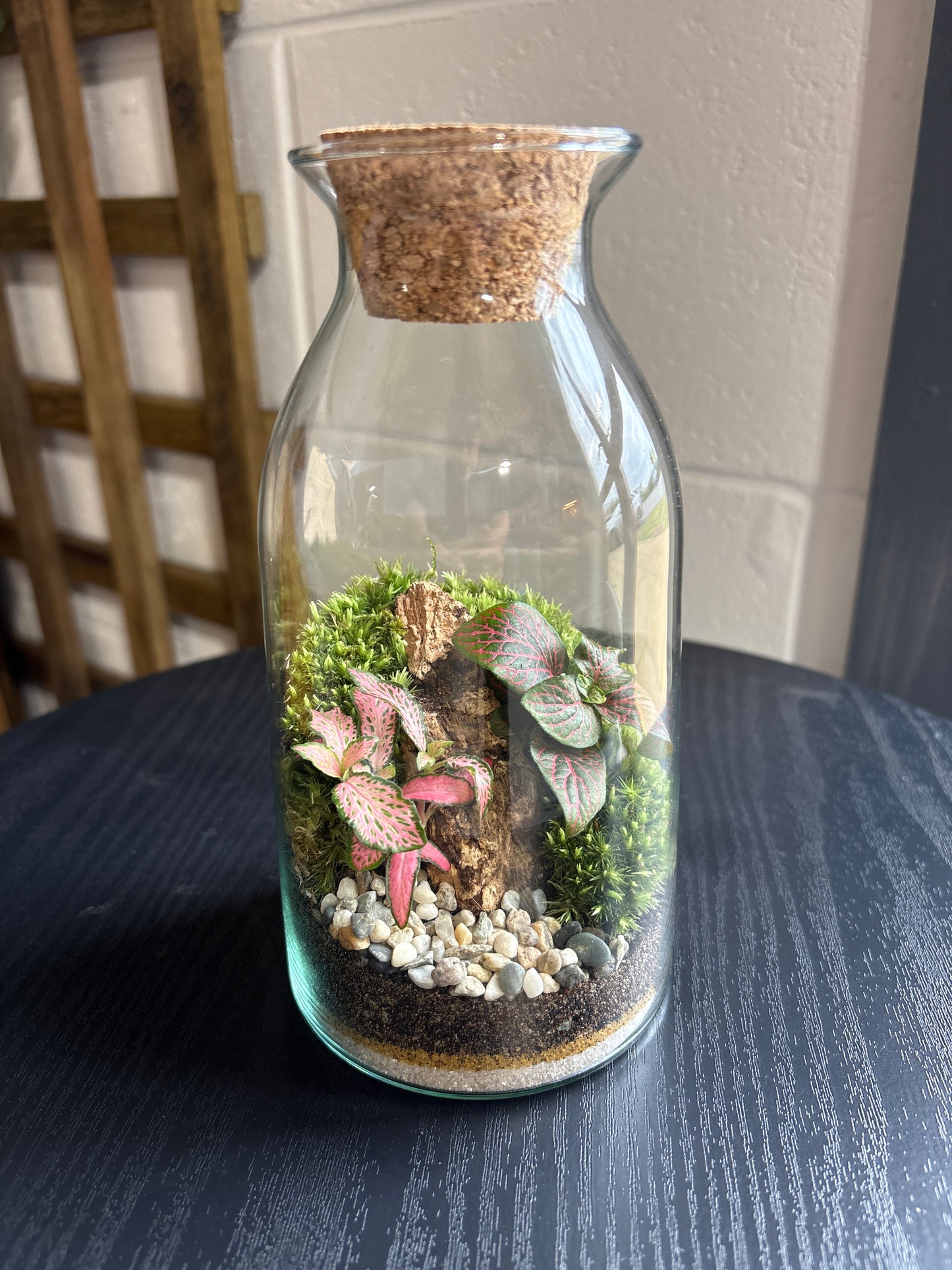 Ready-made Terrarium – Chloe Jar
