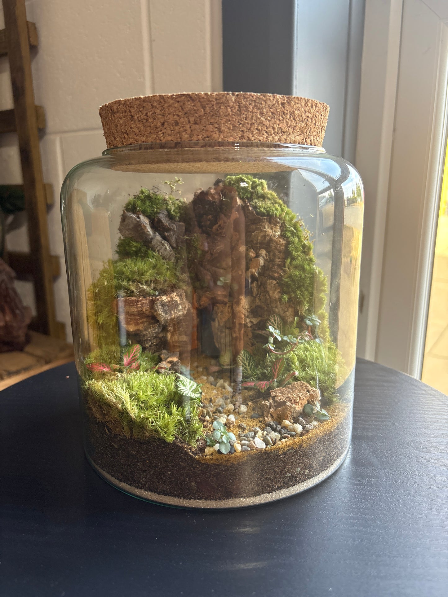 Ready-made Terrarium – Katie