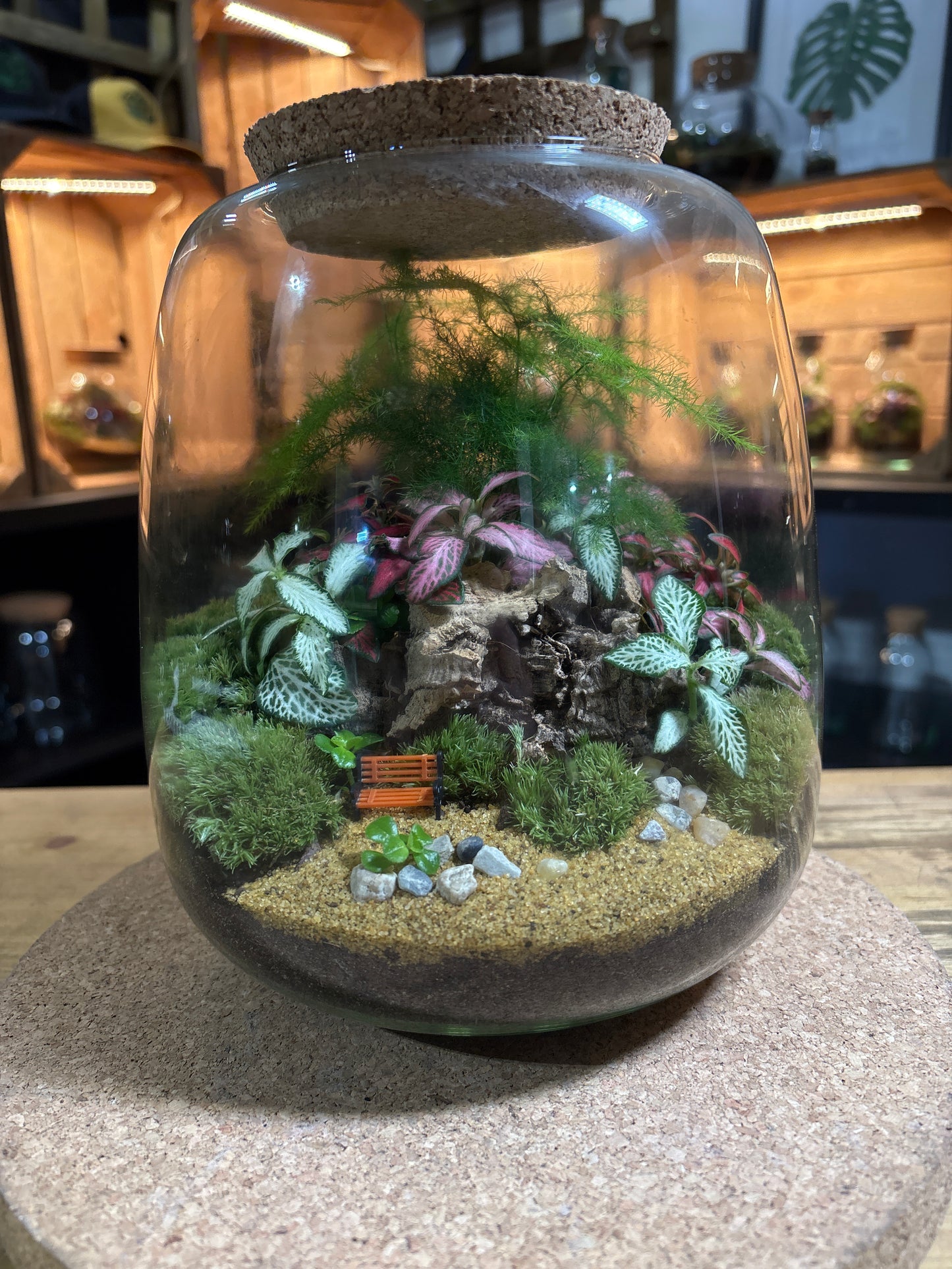 Ready-made Terrarium – Anna Jar
