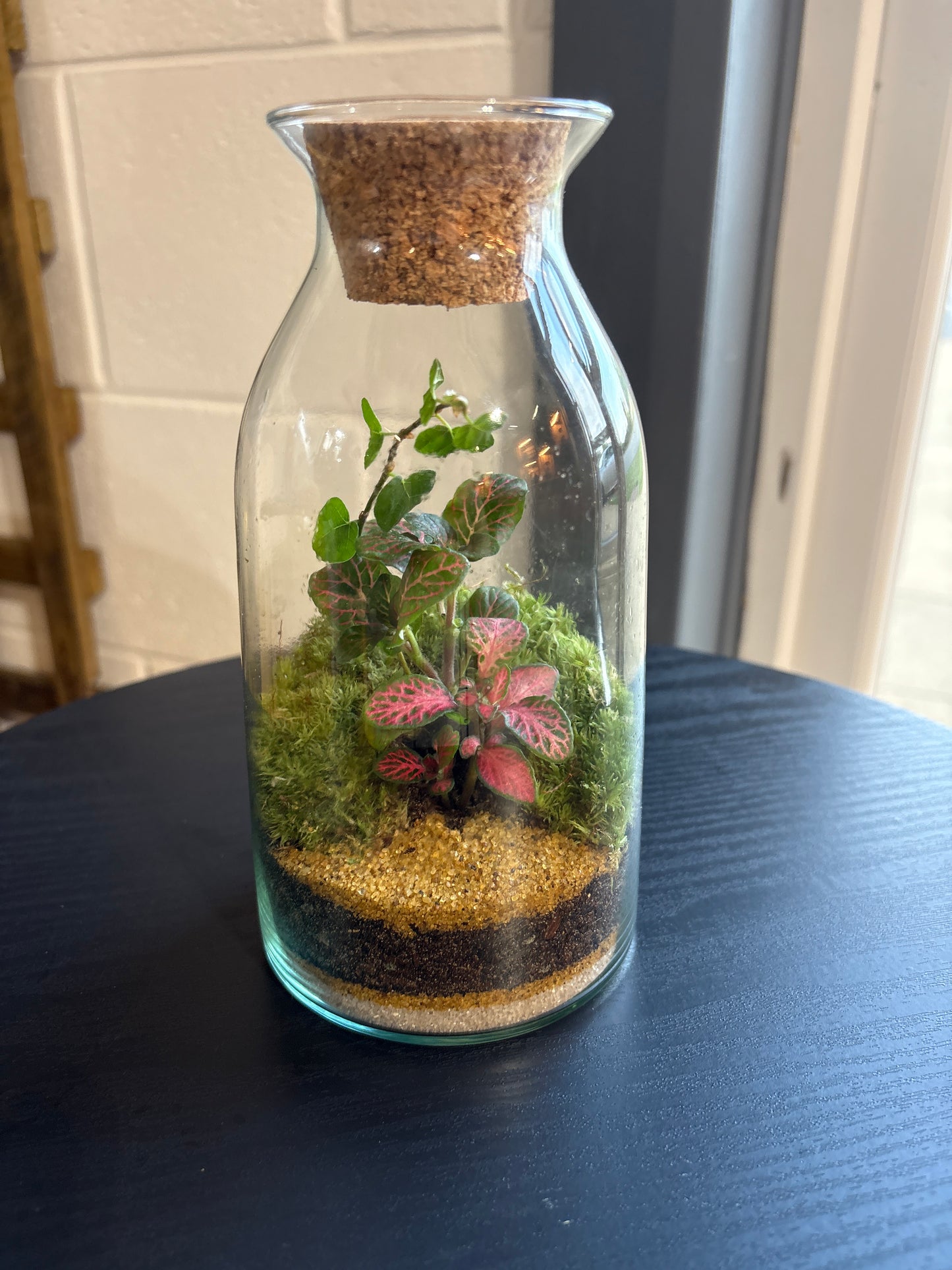 Ready-made Terrarium – Chloe Jar