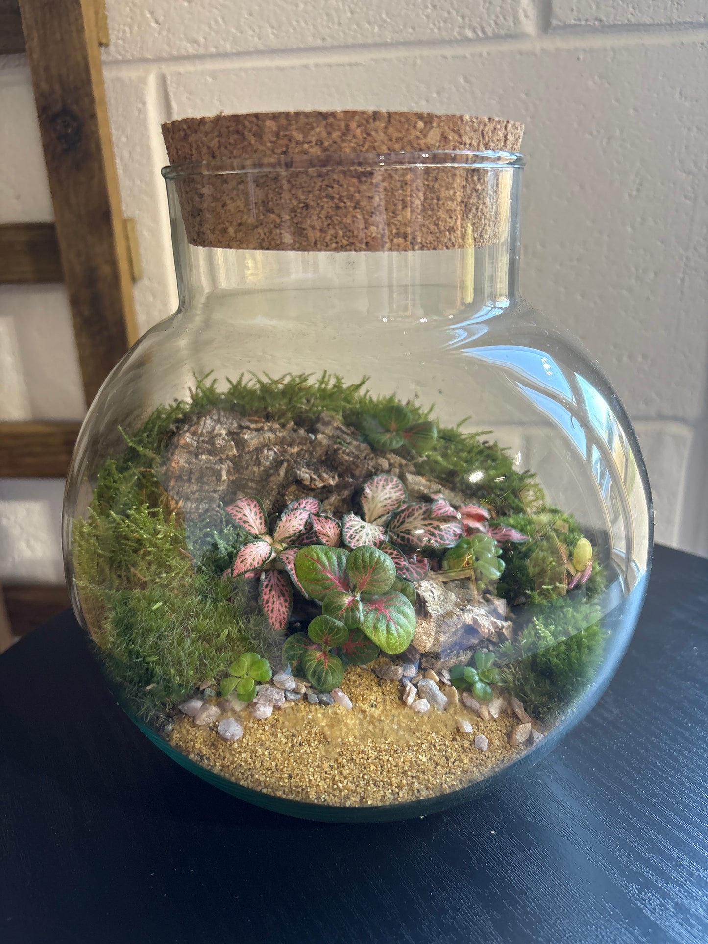 Ready-made Terrarium – George Jar