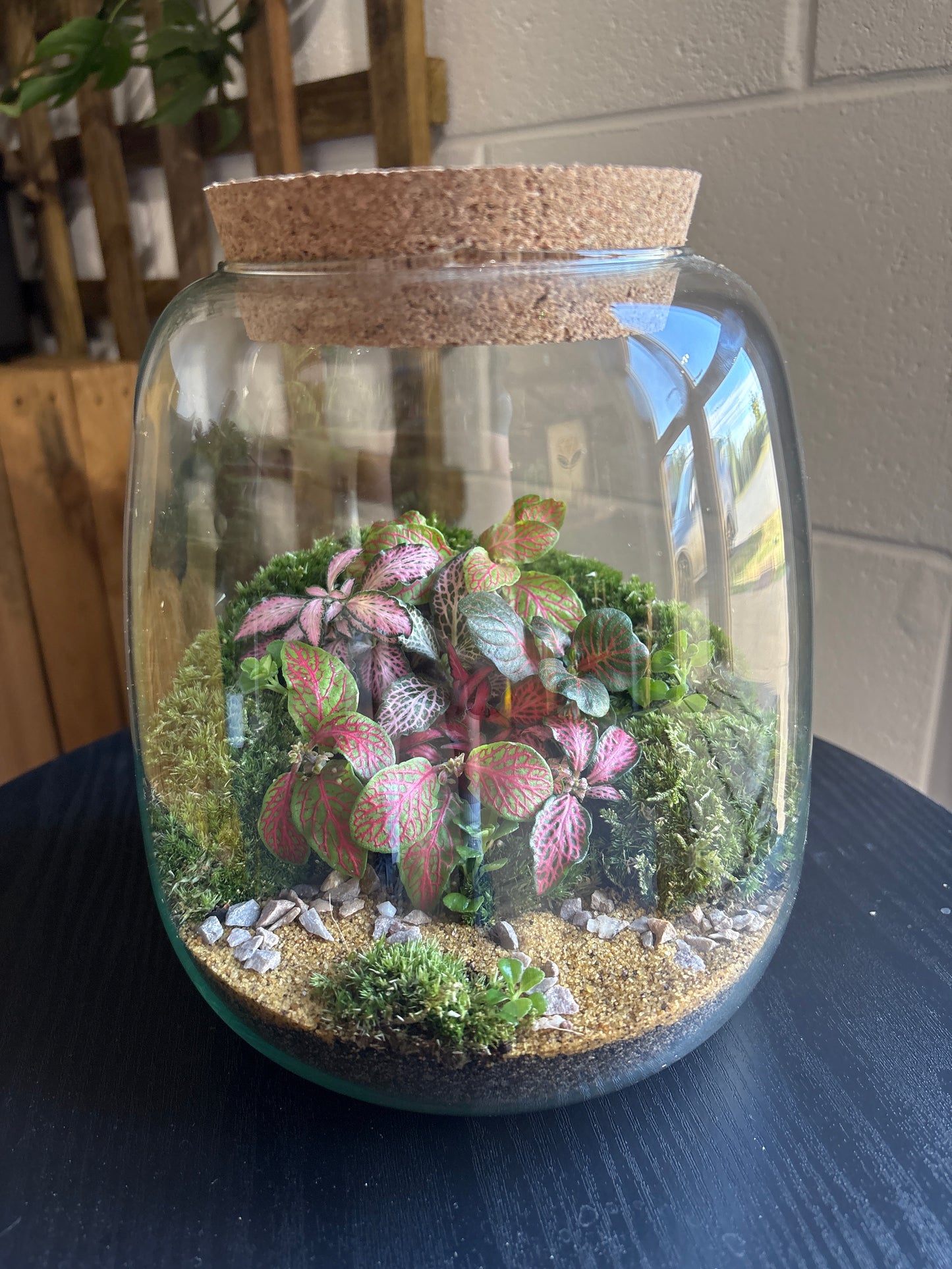 Ready-made Terrarium – Anna Jar