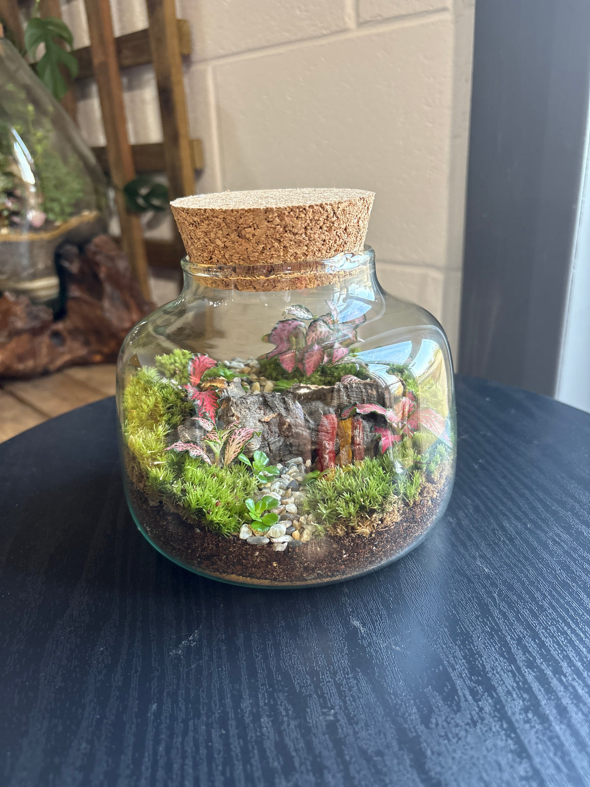 Ready-made Terrarium – Rick