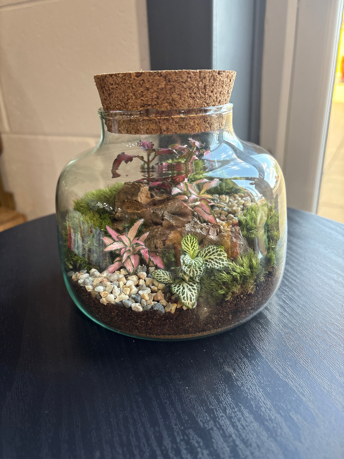 Ready-made Terrarium – Rick