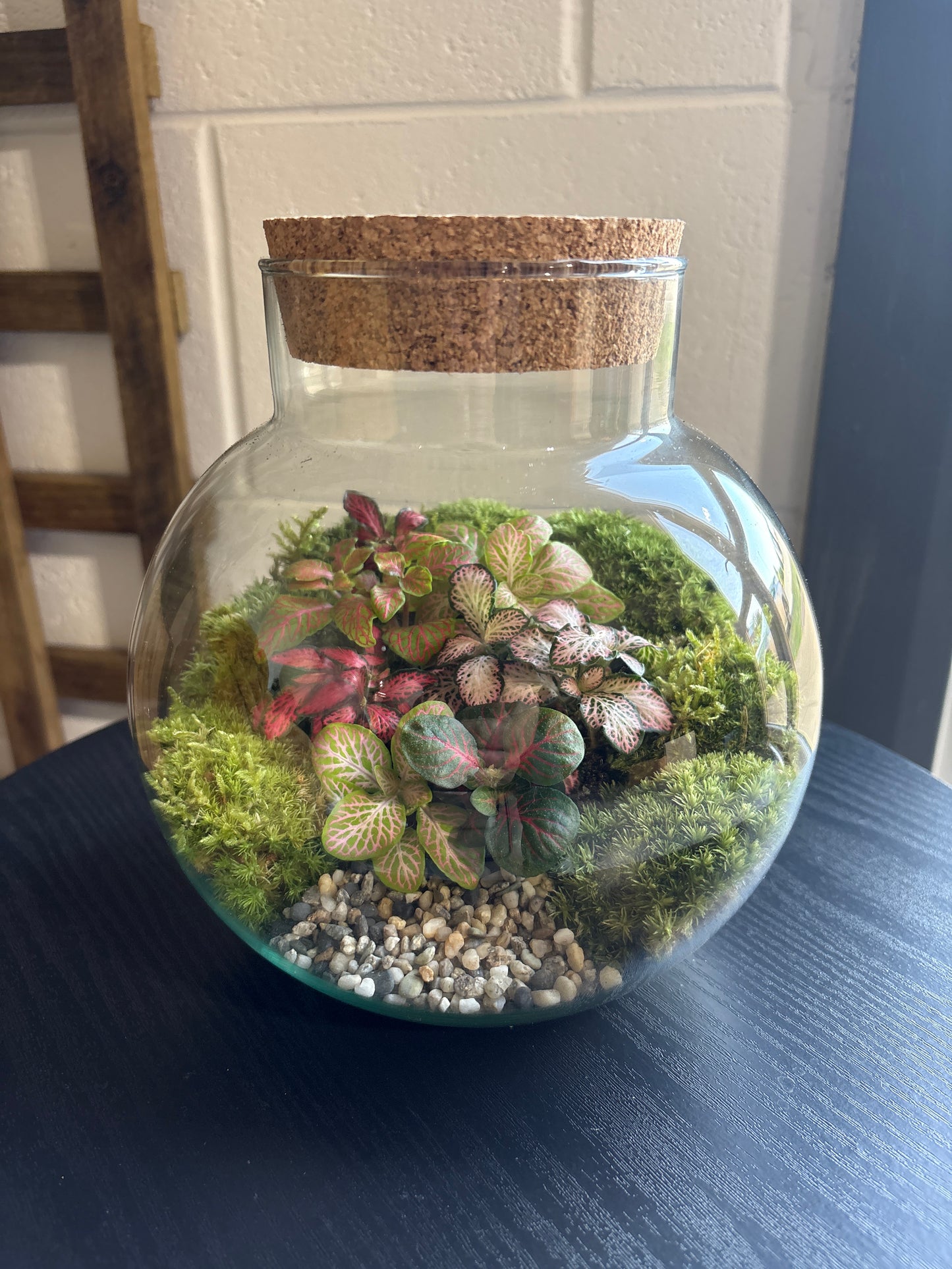 Ready-made Terrarium – George Jar