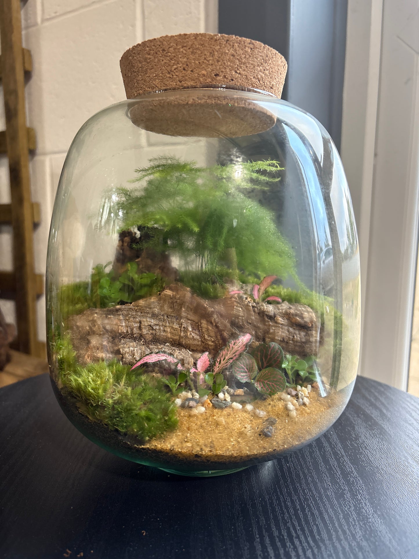Ready-made Terrarium – Anna Jar