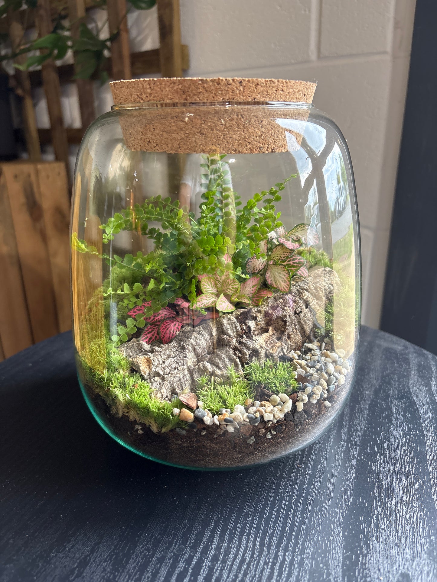Ready-made Terrarium – Anna Jar