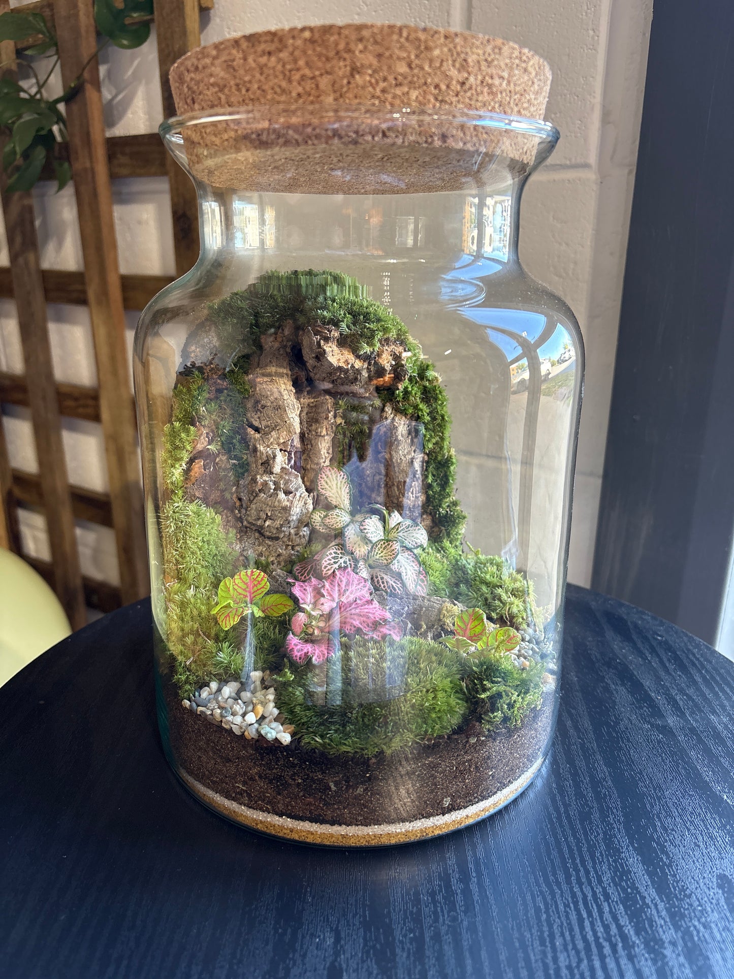 Ready-made Terrarium – Unique Jar