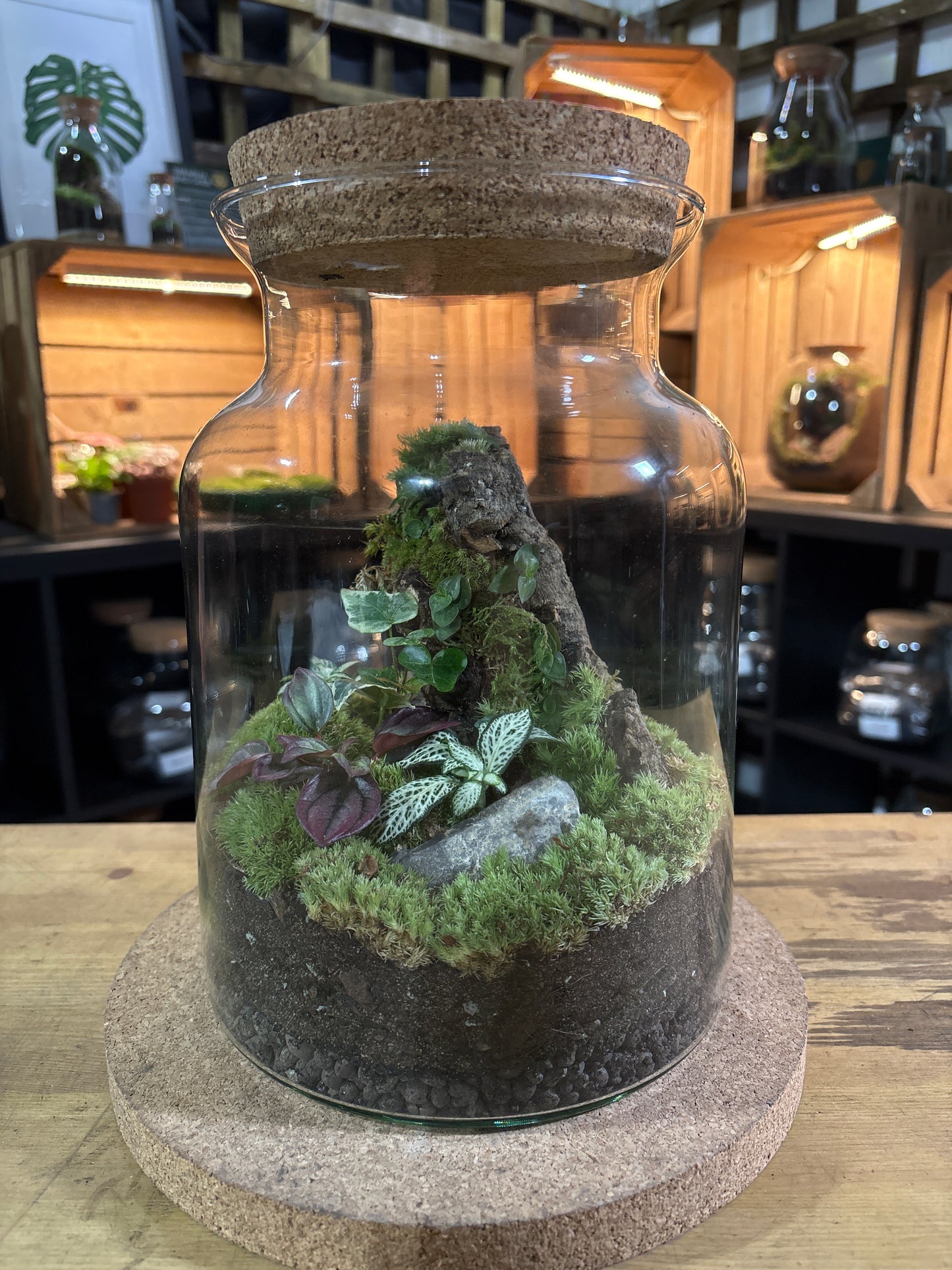 Ready-made Terrarium – Unique Jar