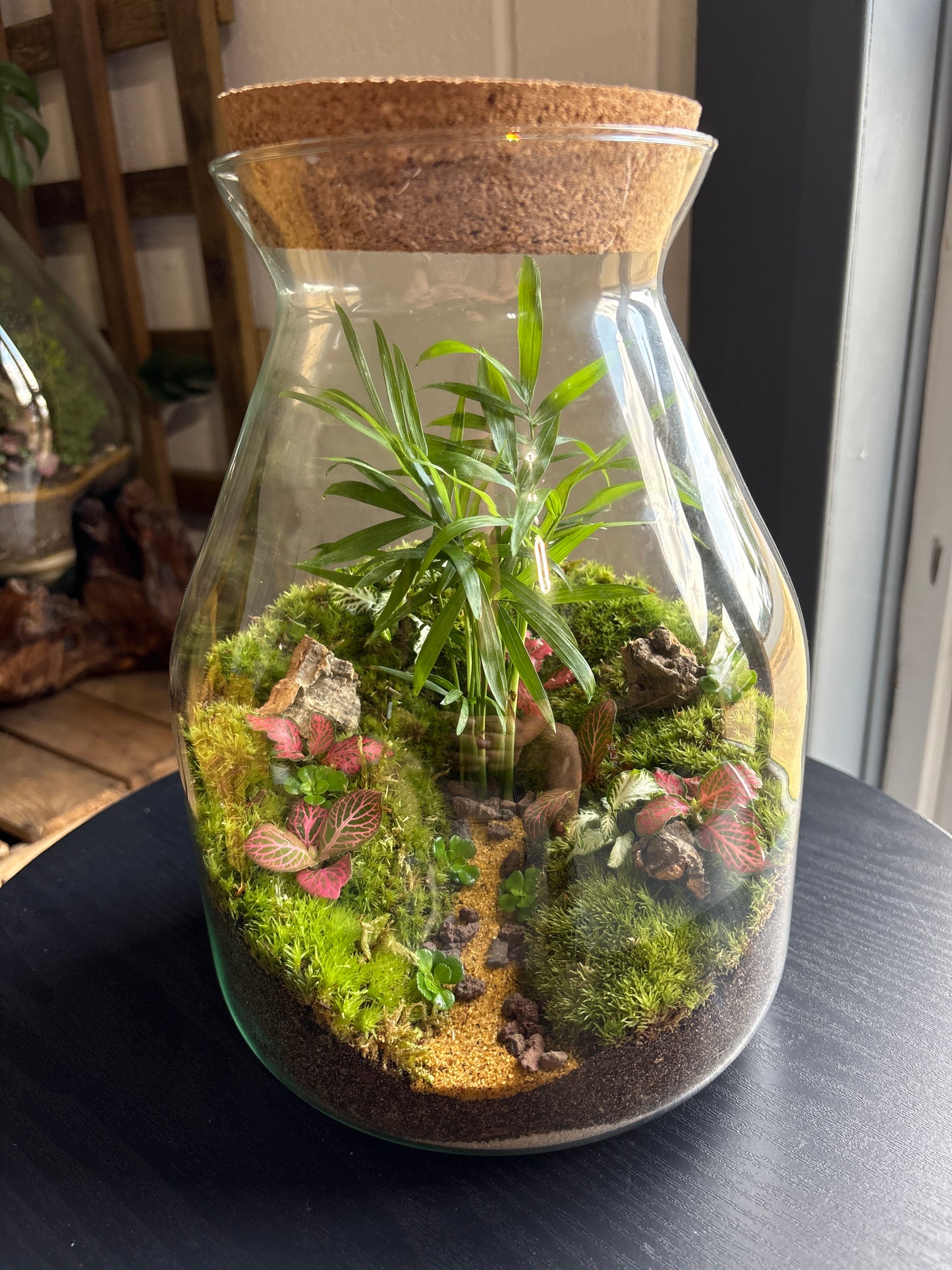 Ready-made Terrarium – Jamie Jar