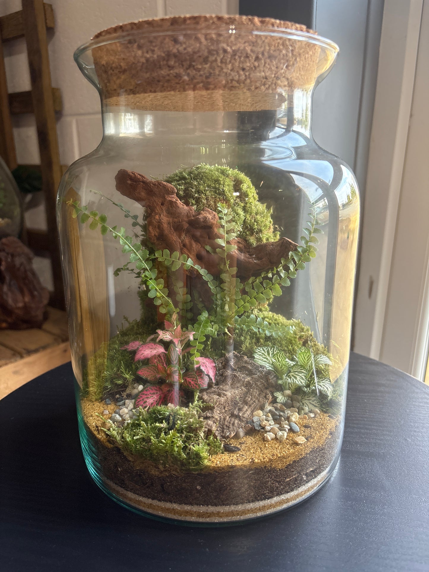Ready-made Terrarium – Neev Jar