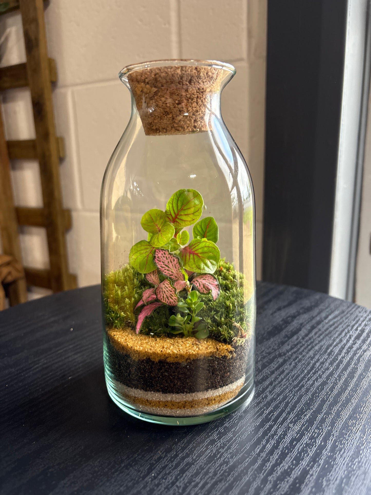 Ready-made Terrarium – Chloe Jar