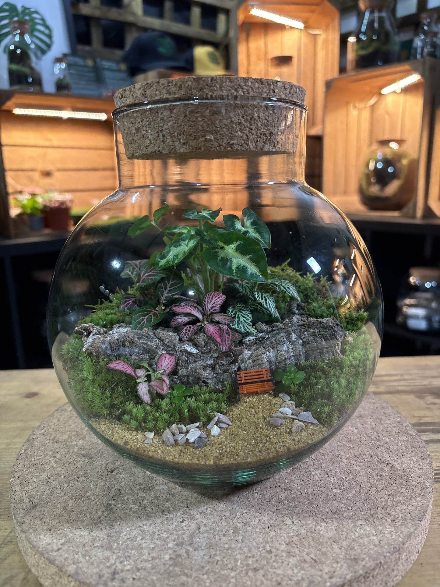Ready-made Terrarium – George Jar