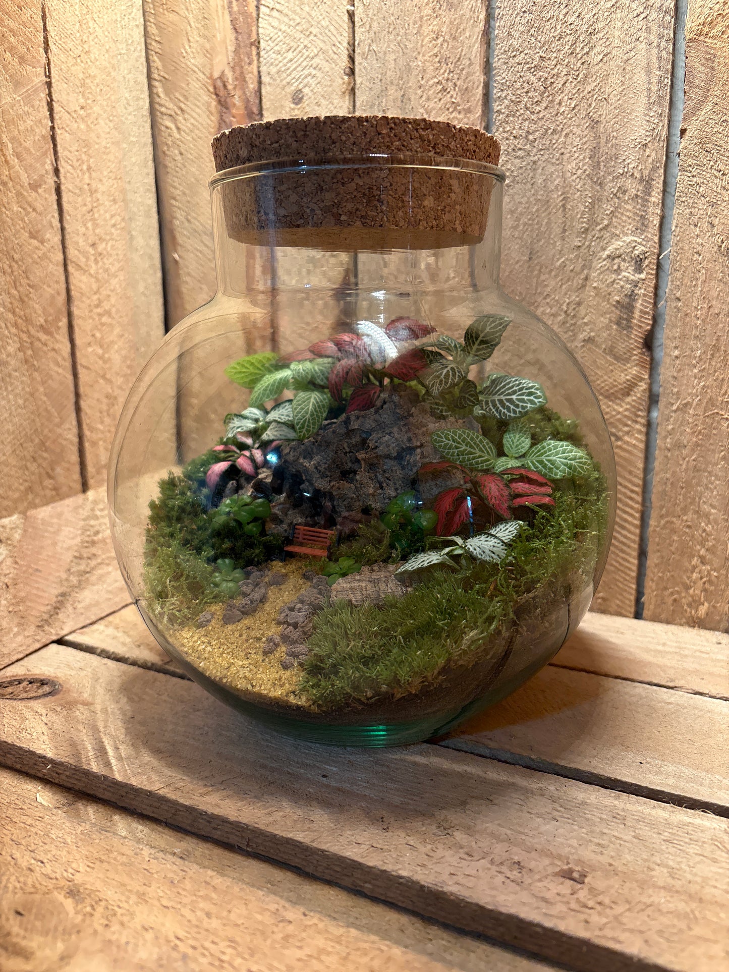 Ready-made Terrarium – George Jar
