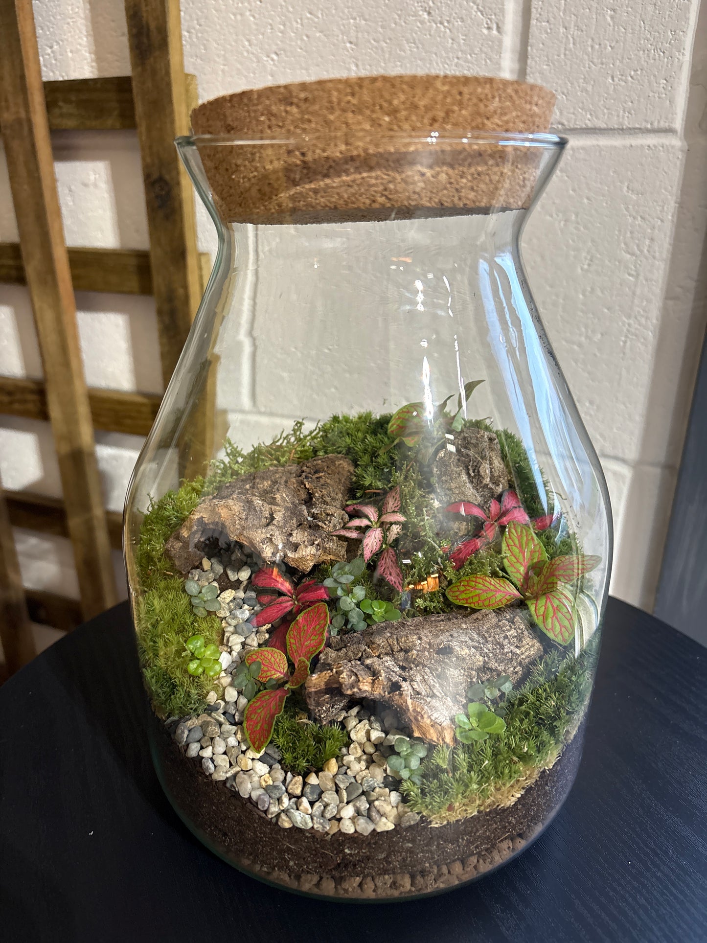 Ready-made Terrarium – Jamie Jar