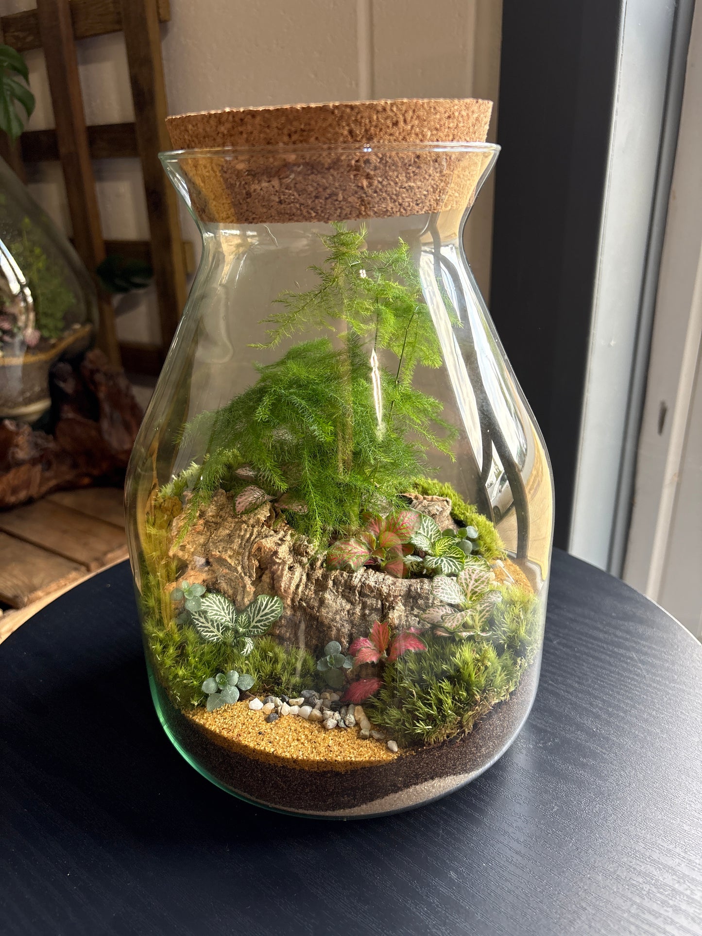 Ready-made Terrarium – Jamie Jar